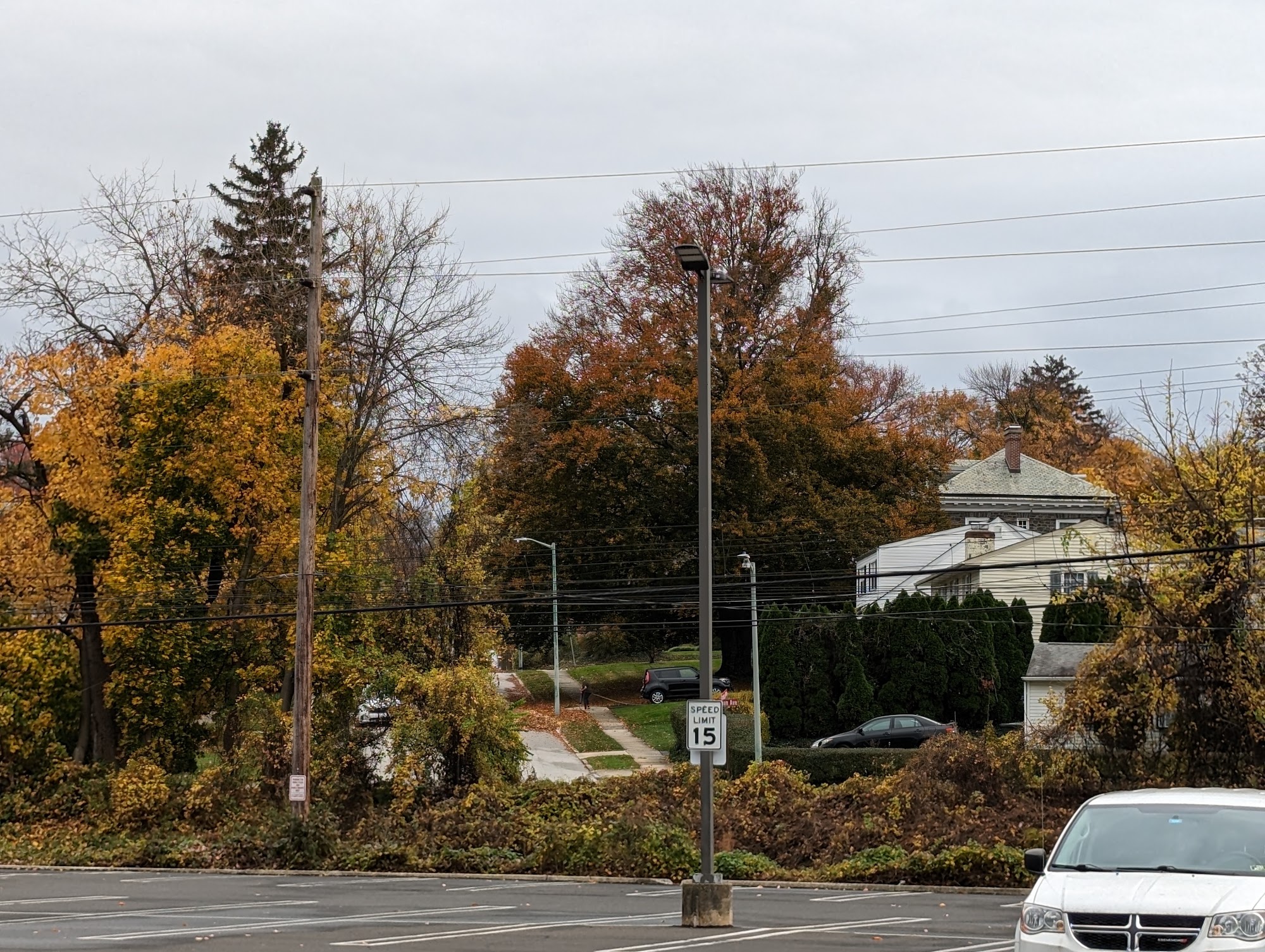 Jules Thin Crust Jenkintown