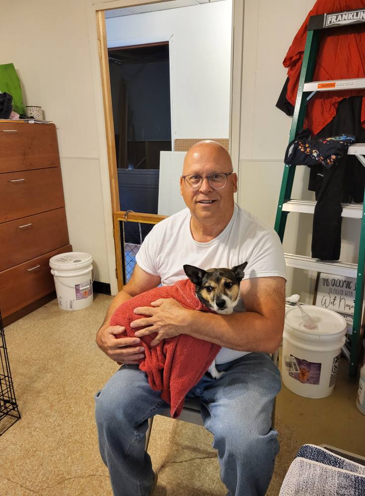 Dog Gone Grooming Johnstown