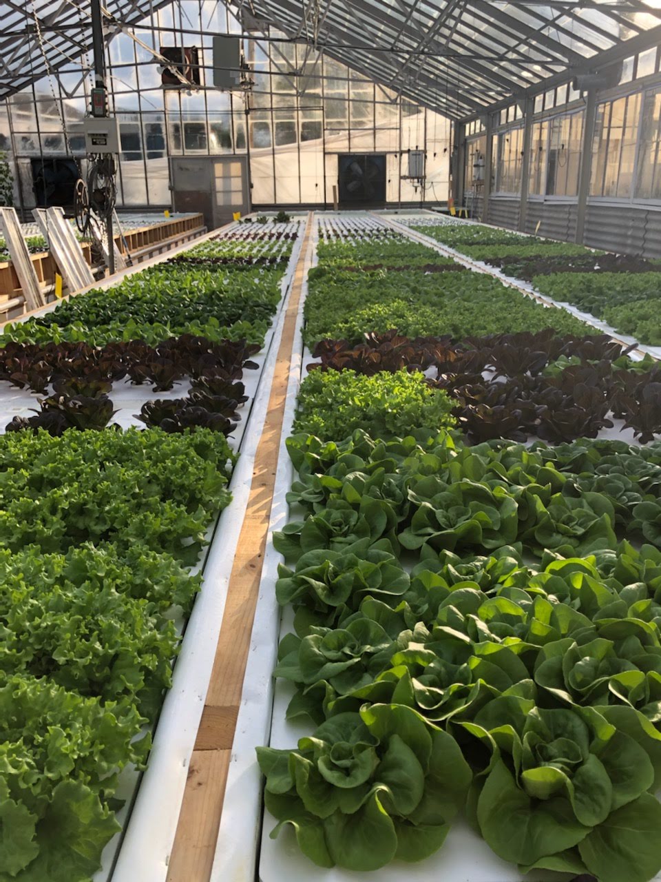 Eliza's Organics LLC. Johnstown