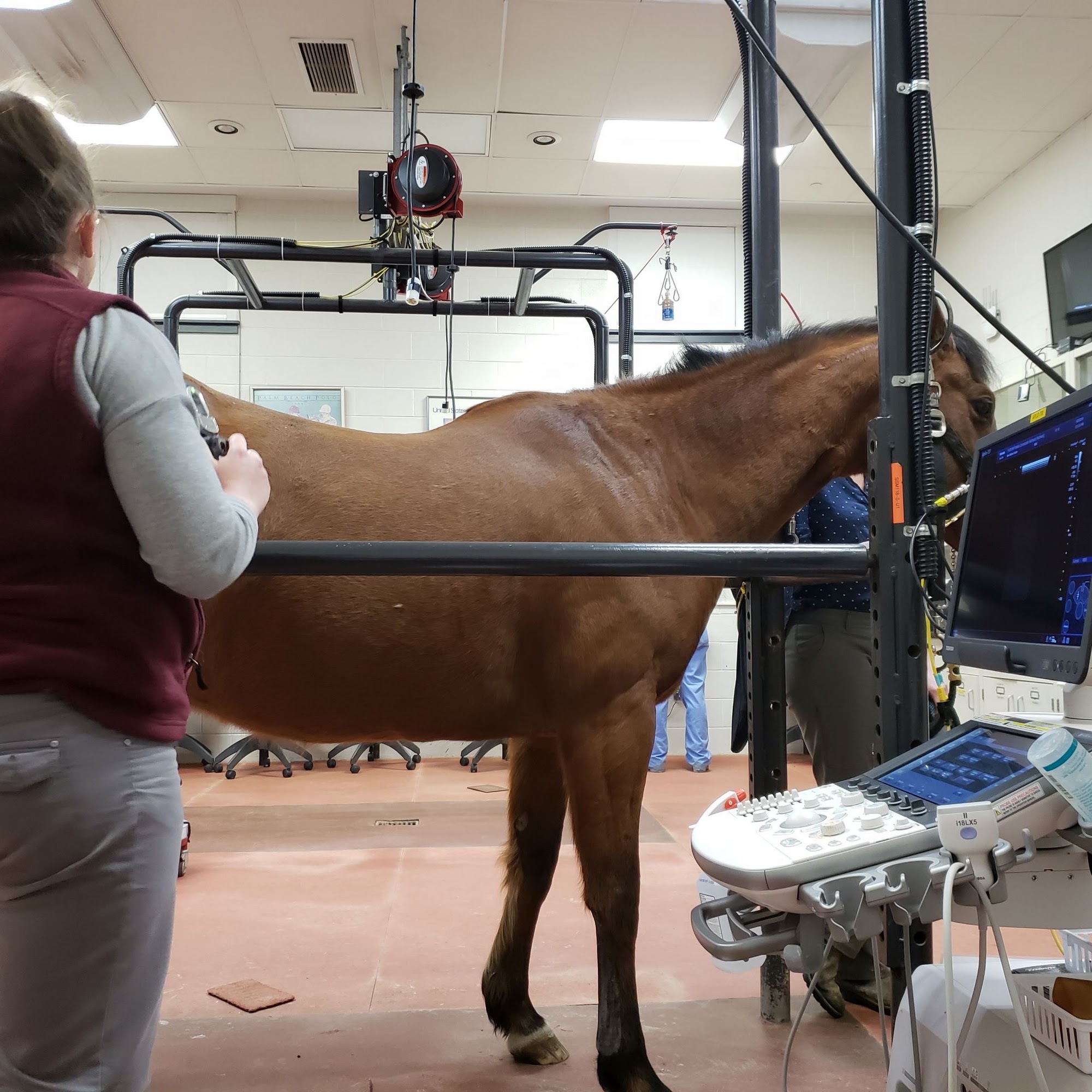 New Bolton Center Kennett Square