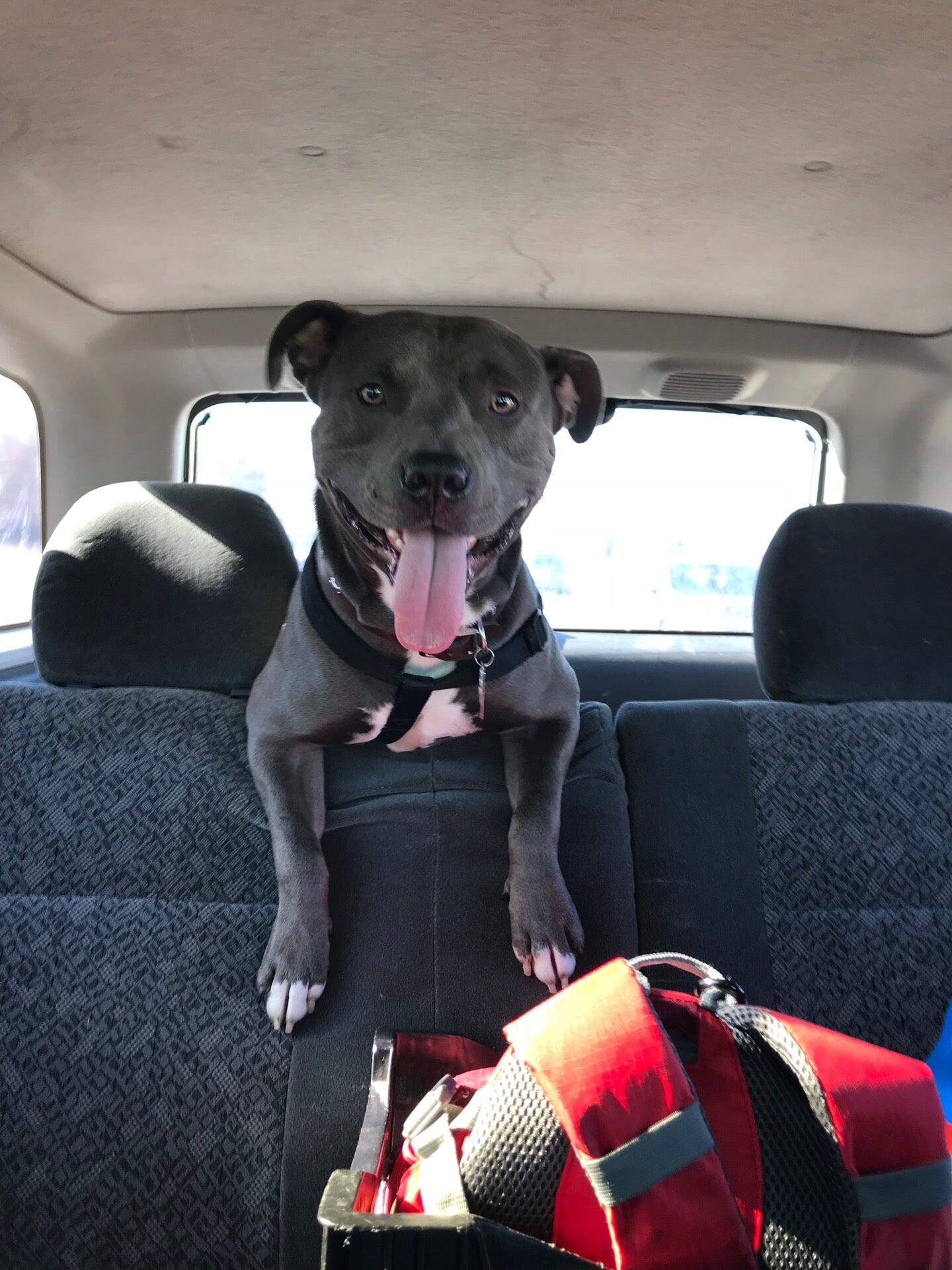 Photo credit: nextdoor