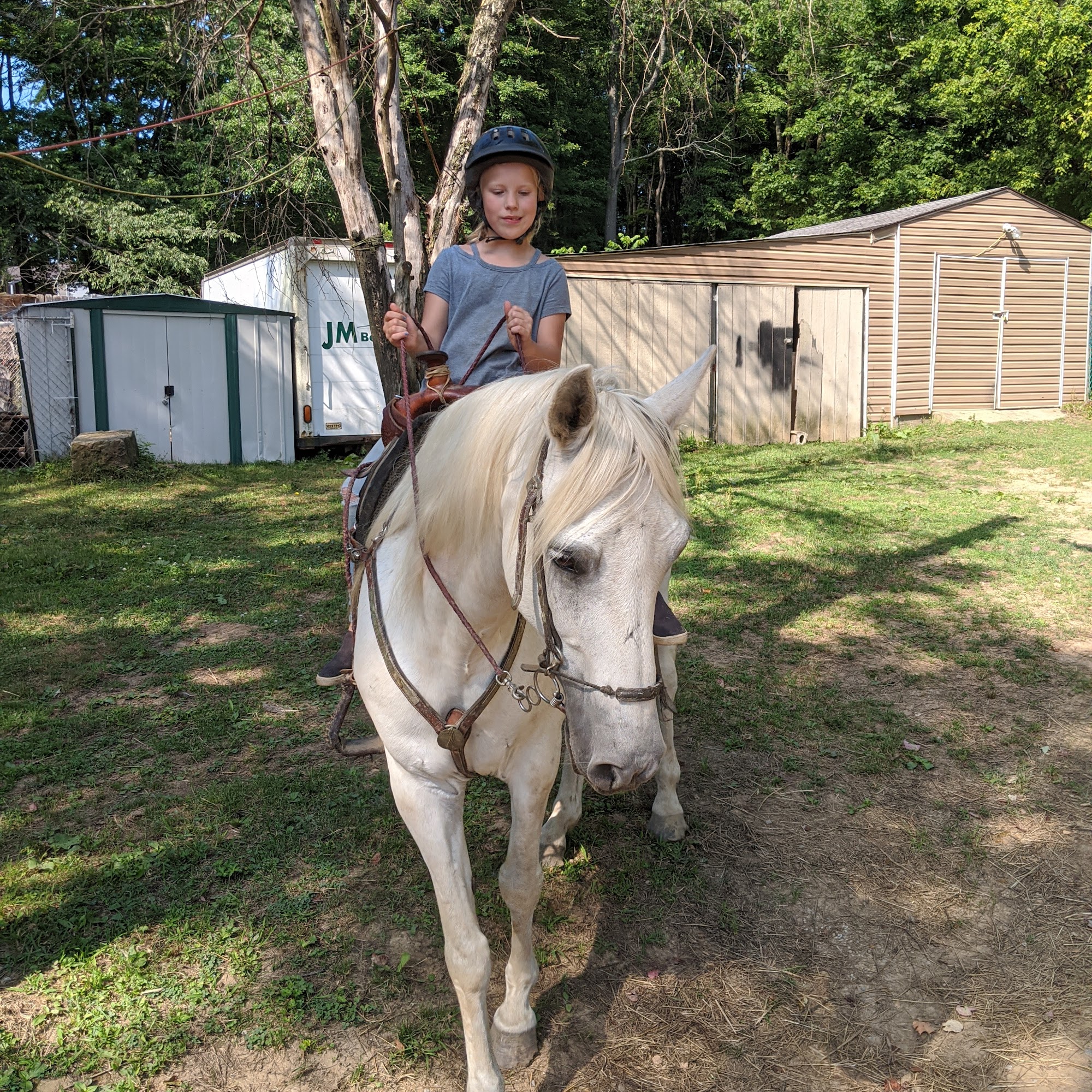 Robert L Lash Veterinary Associates Kittanning