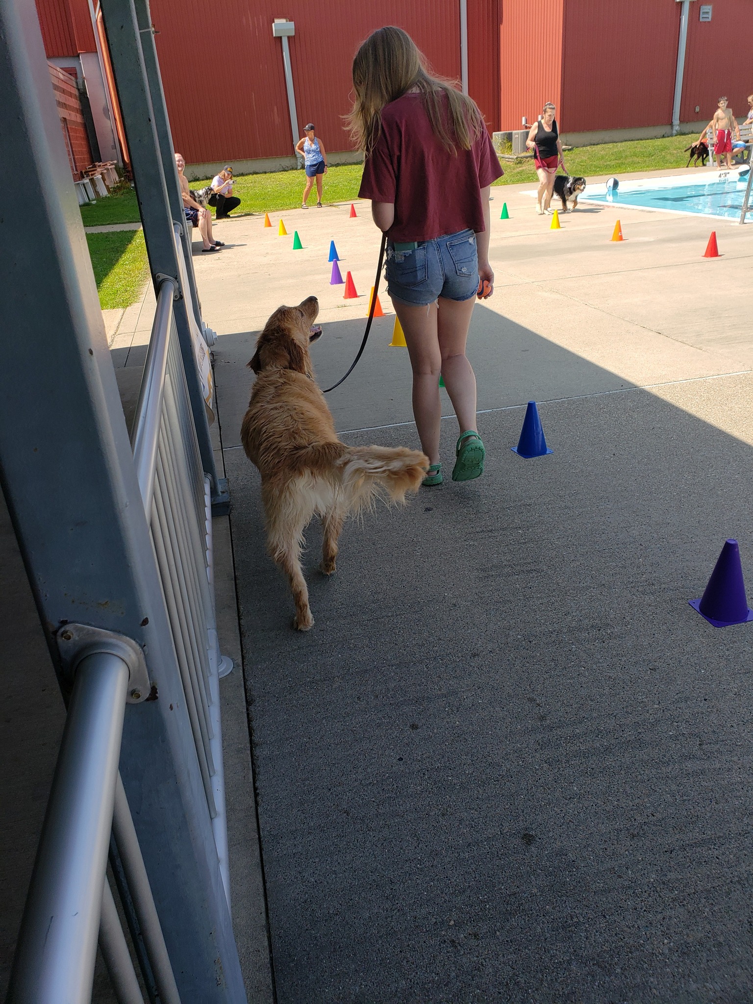 Walnut Grove Boarding Kennels
