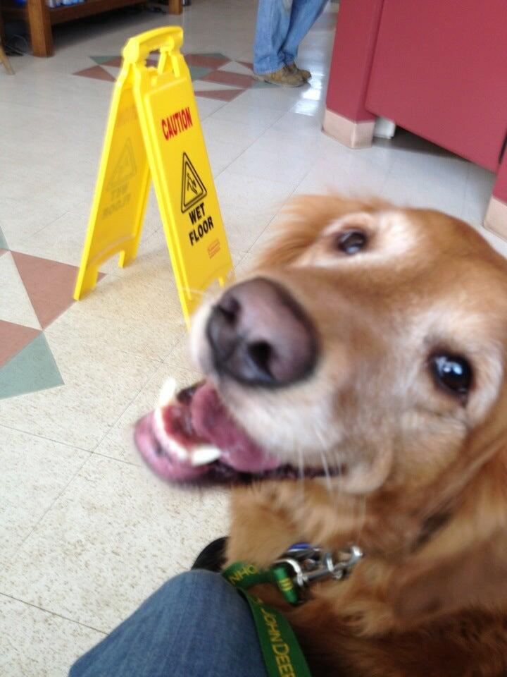 Silver Maple Veterinary Clinic Kutztown