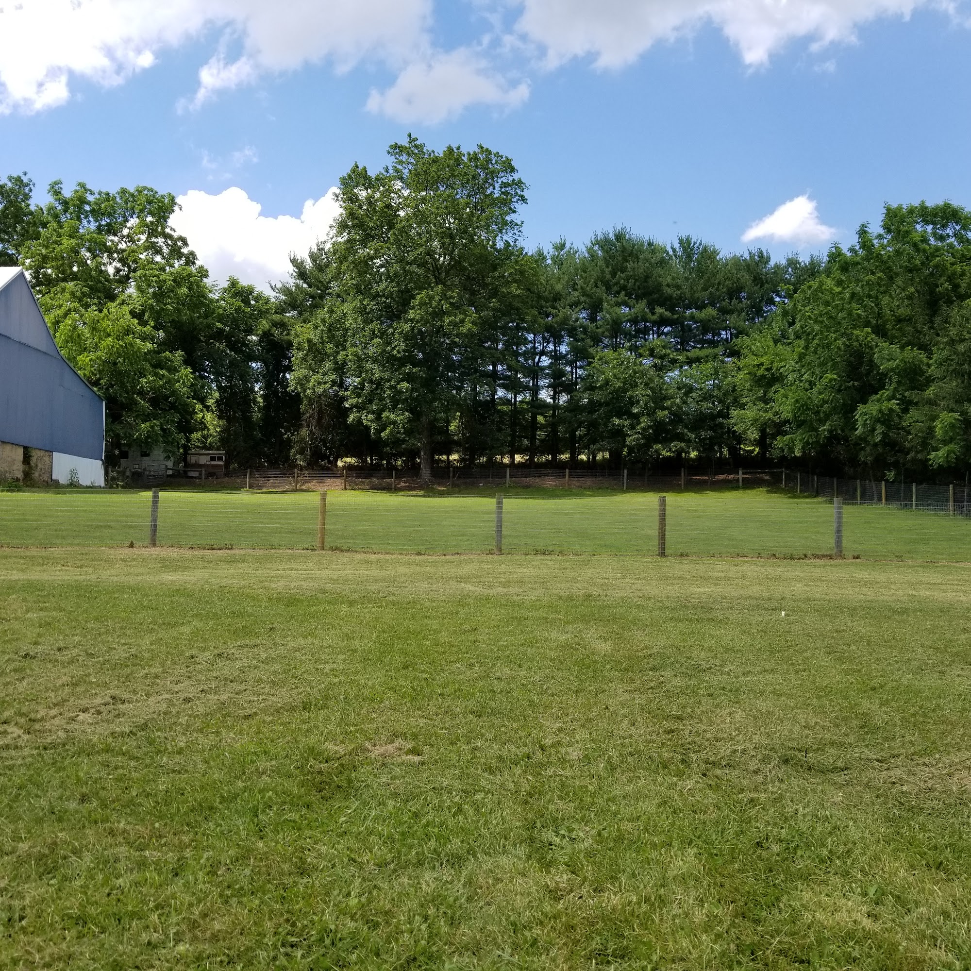 Hound Hollow Boarding Kennel Kutztown