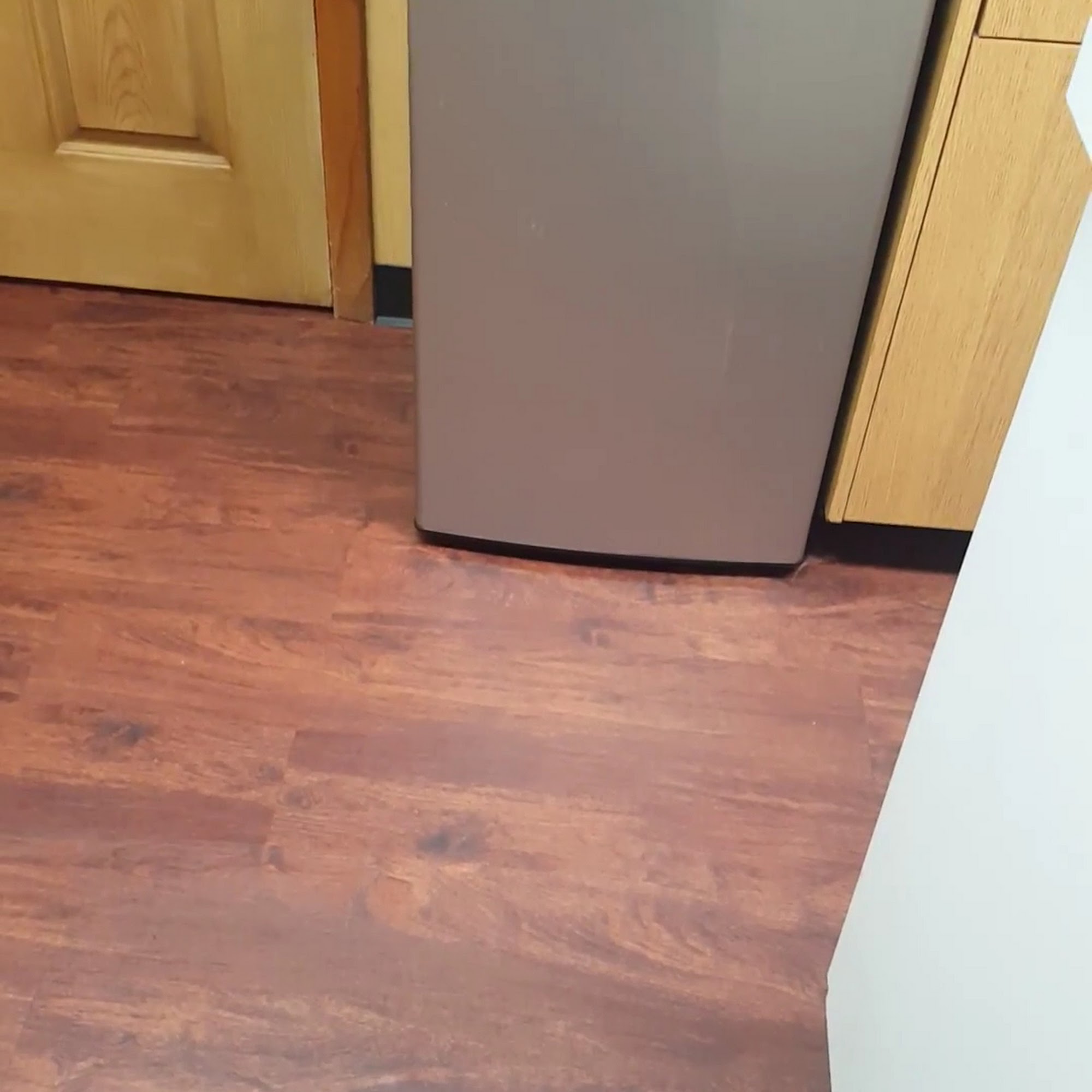 Hamlin Veterinary Clinic Lake Ariel