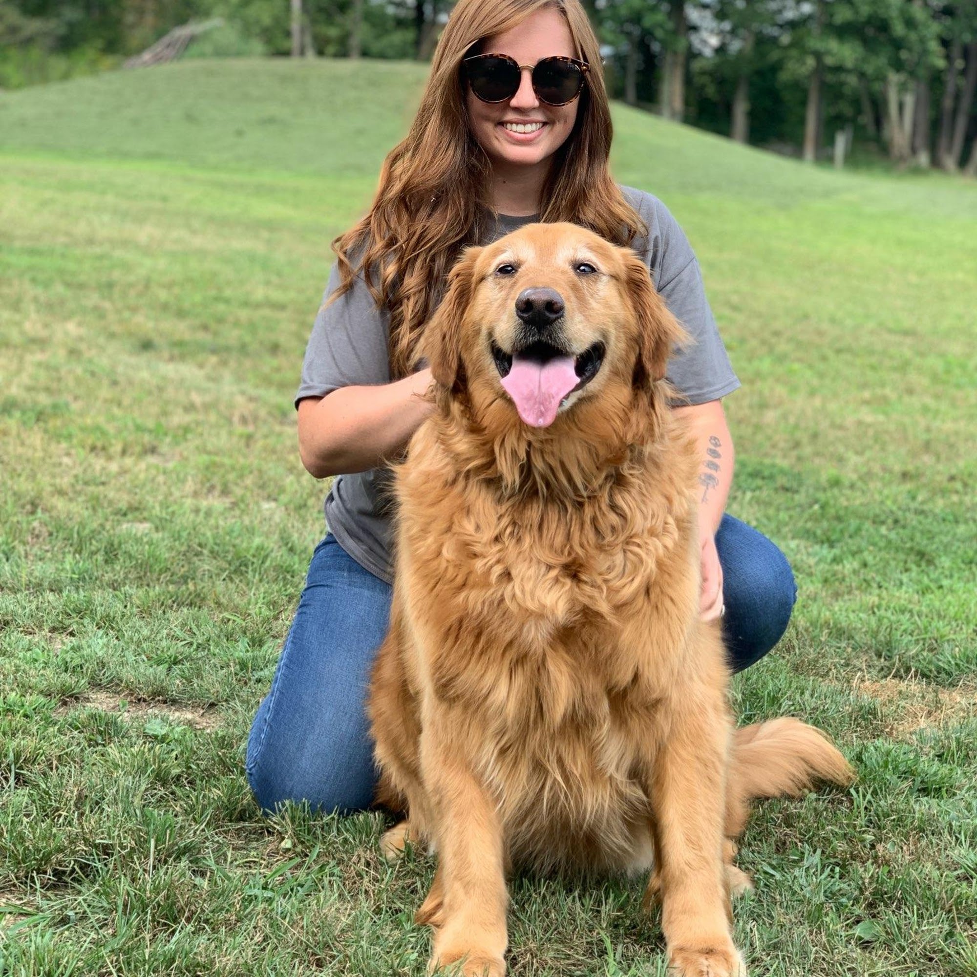 Paw Pack Doggy Daycare Lake Ariel