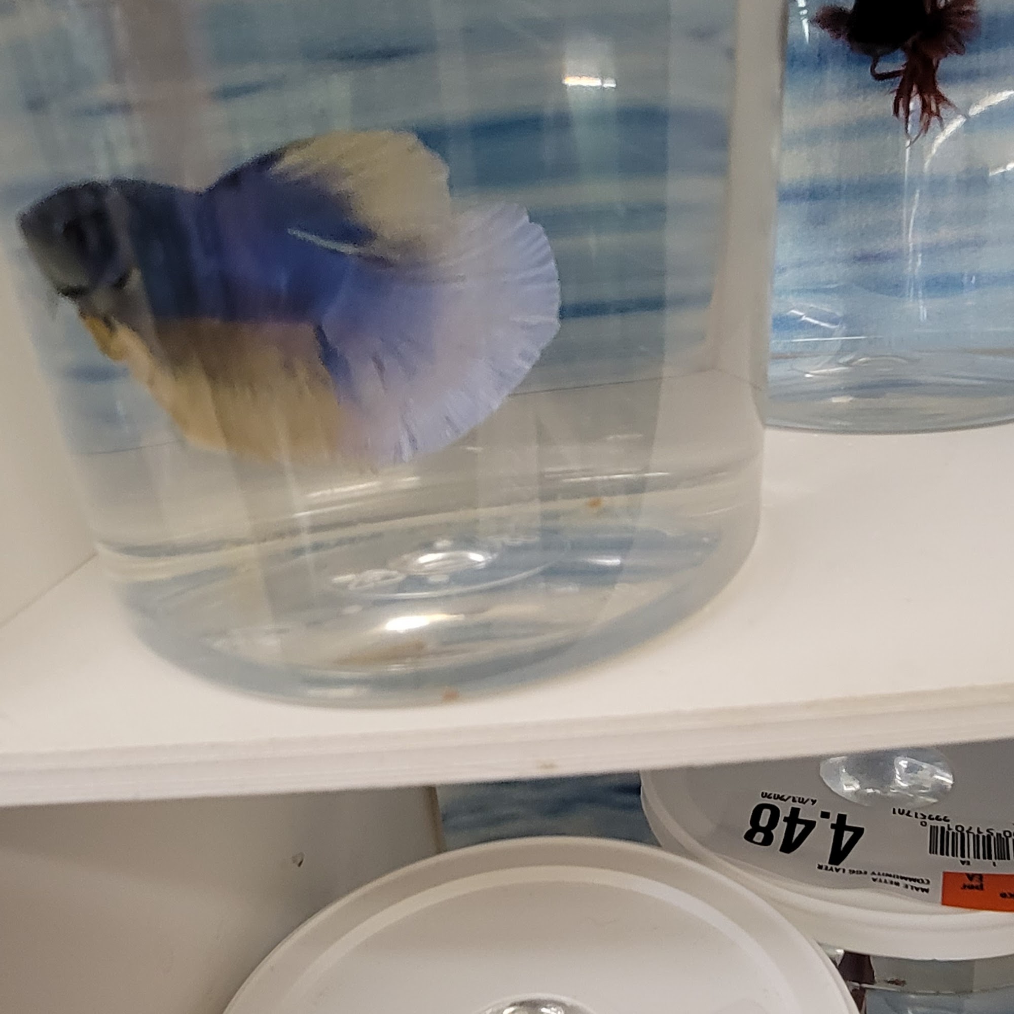 Pet Supplies Plus Lancaster Lancaster