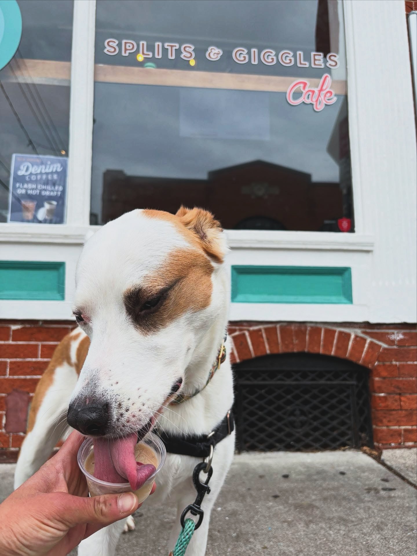 Splits and Giggles Cafe Lancaster