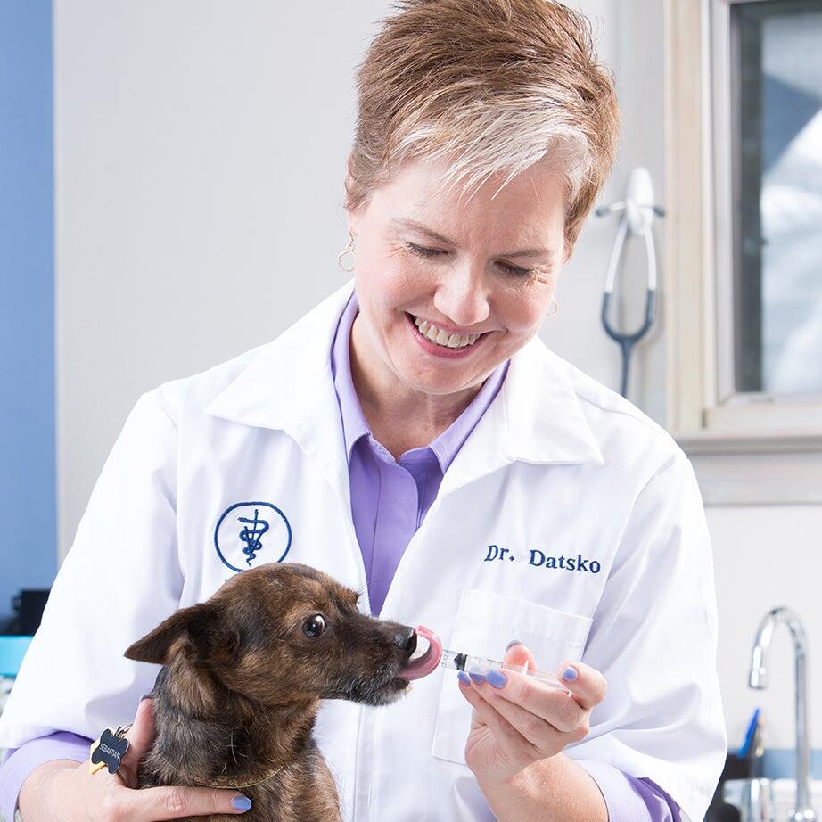 West Lancaster Animal Hospital Lancaster