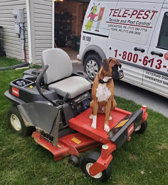 Photo credit: nextdoor