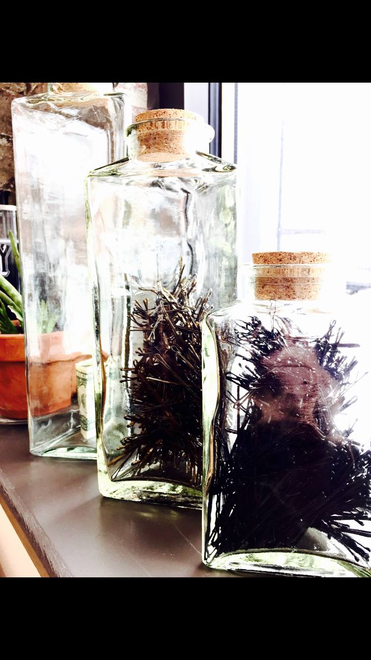 Reflection Studio Salon- Meghan Williams