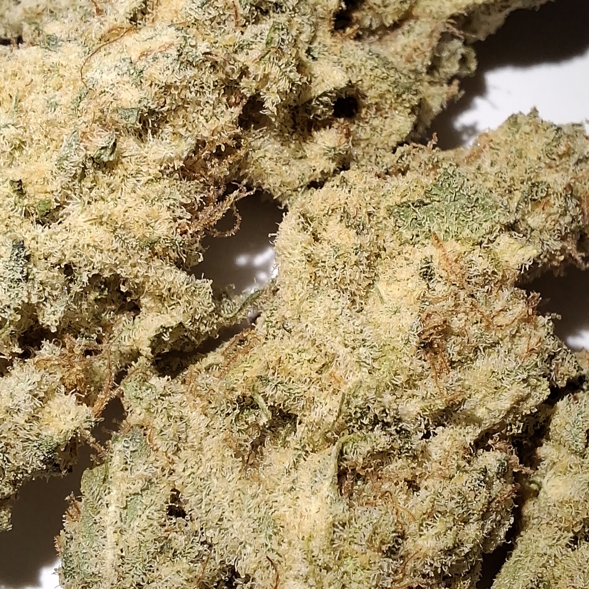 King St. Food Market Llc Lancaster