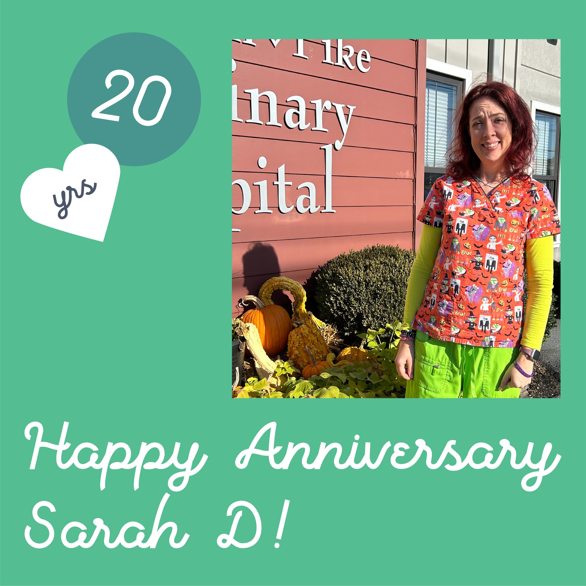 Lancaster Veterinary