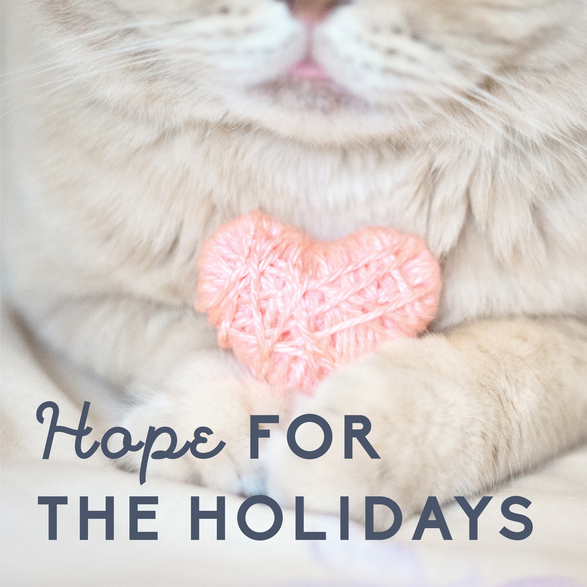 Lancaster Veterinary