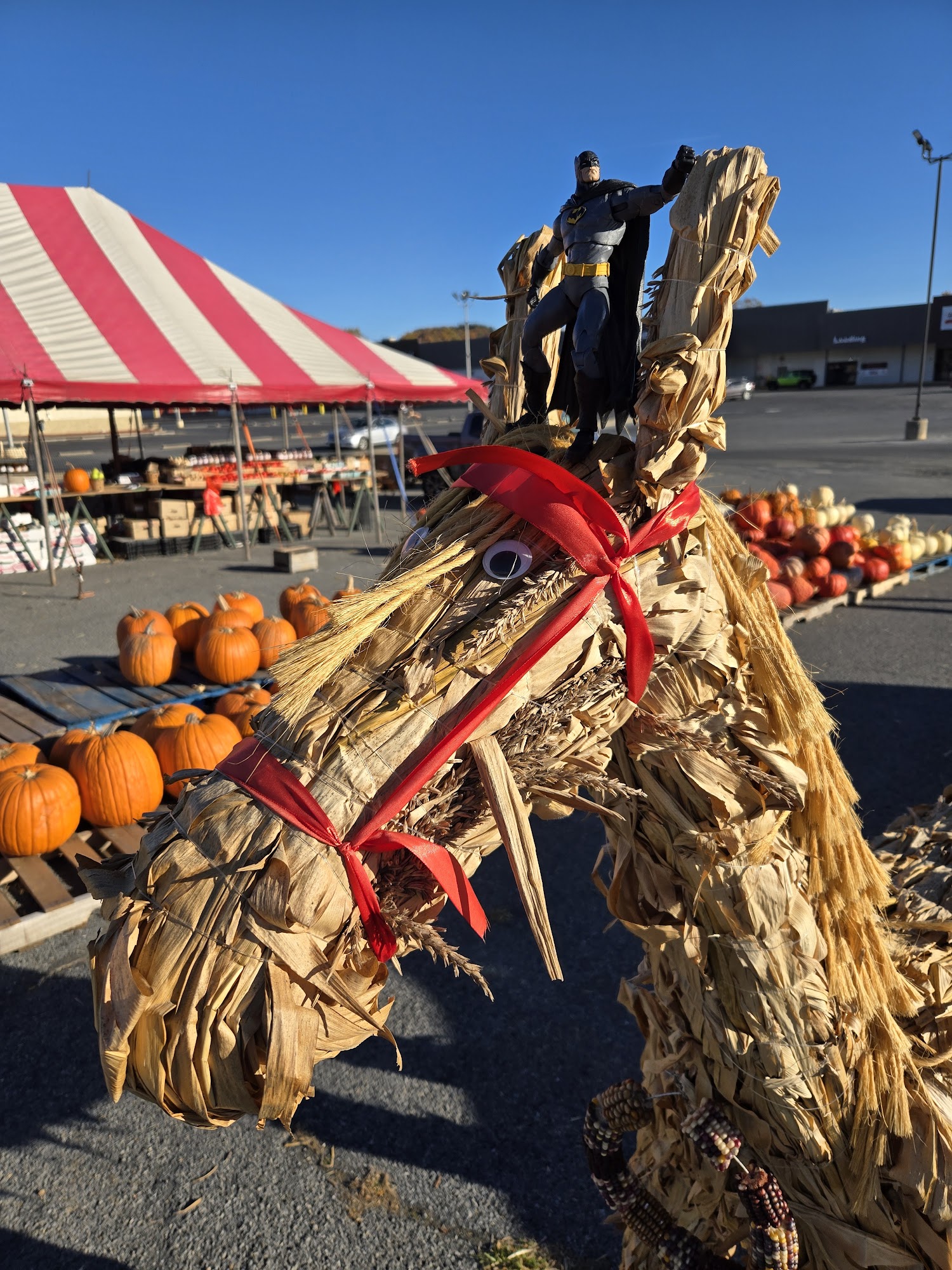 Herr's Fruit Farm Lancaster