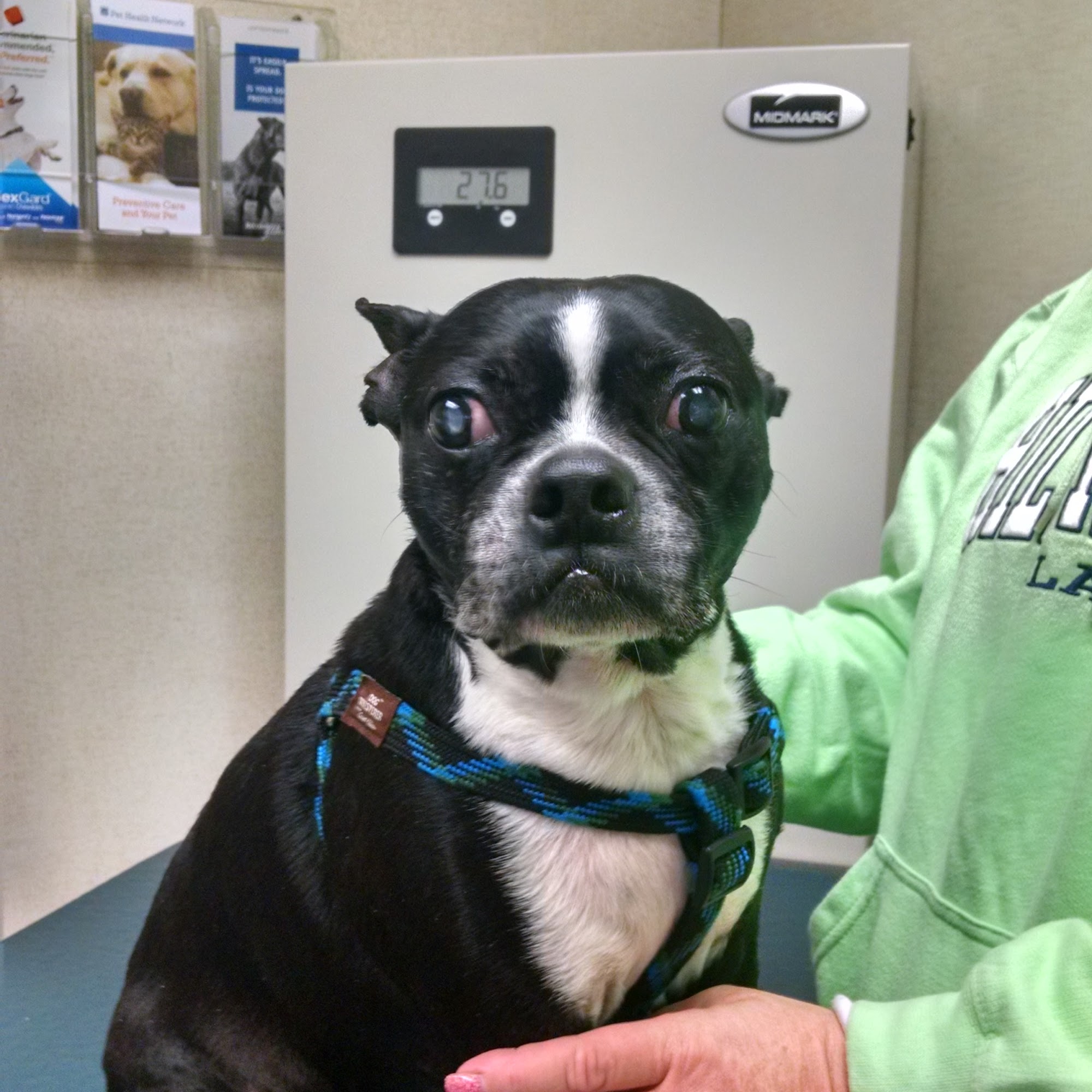 Flowers Mill Veterinary Hospital Langhorne