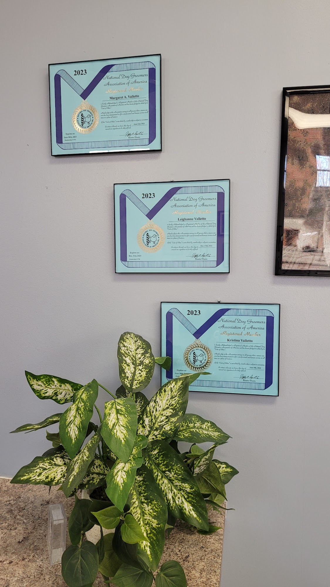 Loving Touch Grooming Salon Langhorne