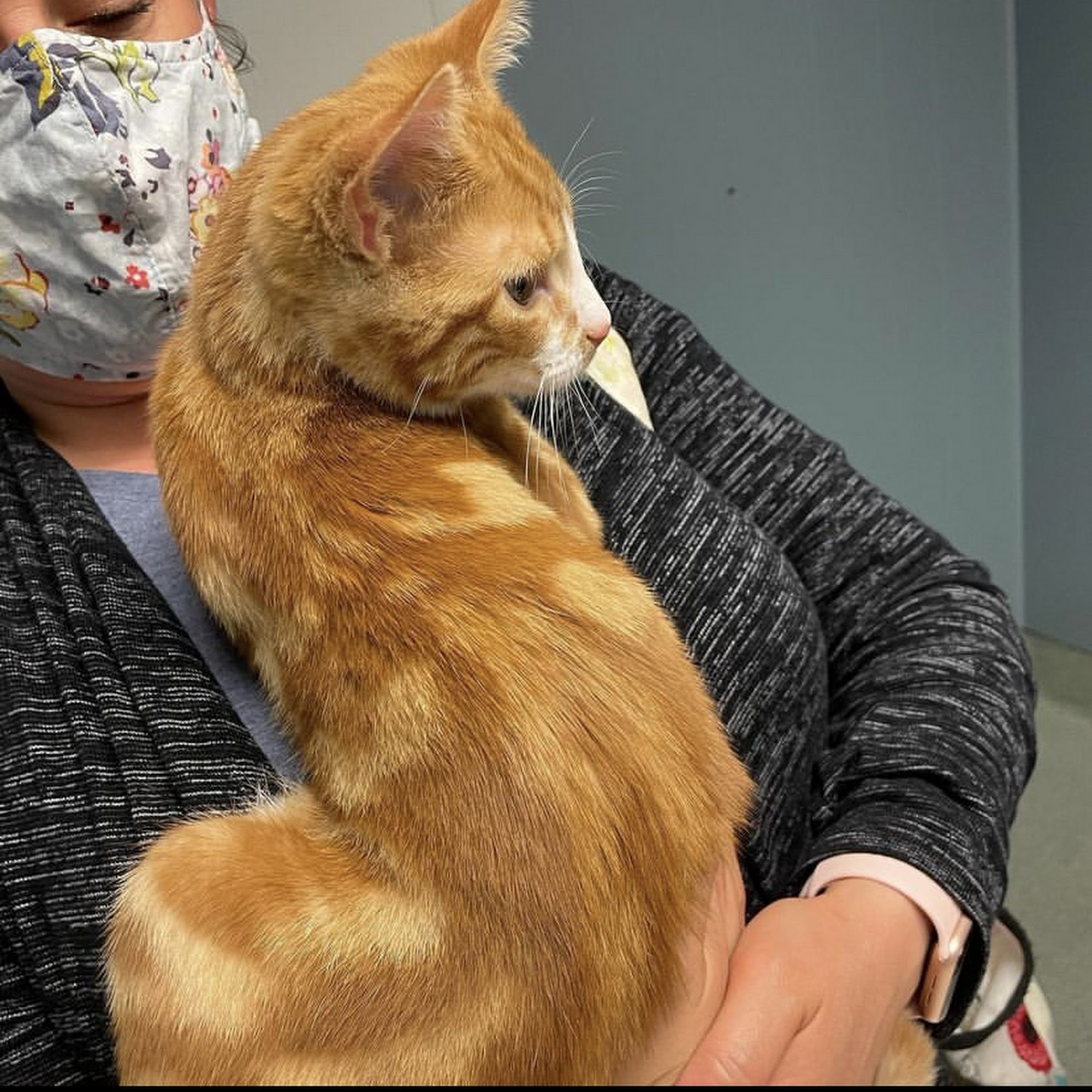 Animal Crackers Veterinary Clinic Lansdale