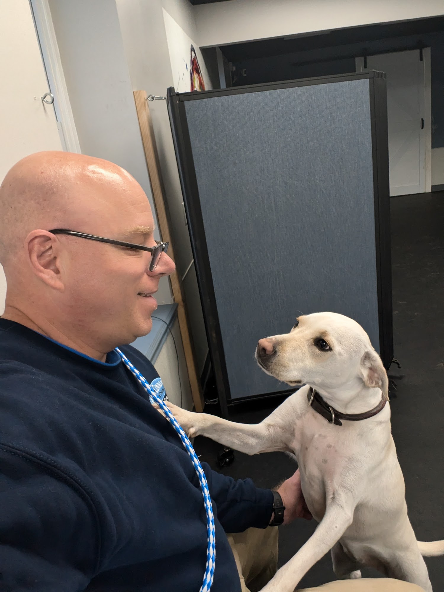 On-Command Canine Training Lansdale