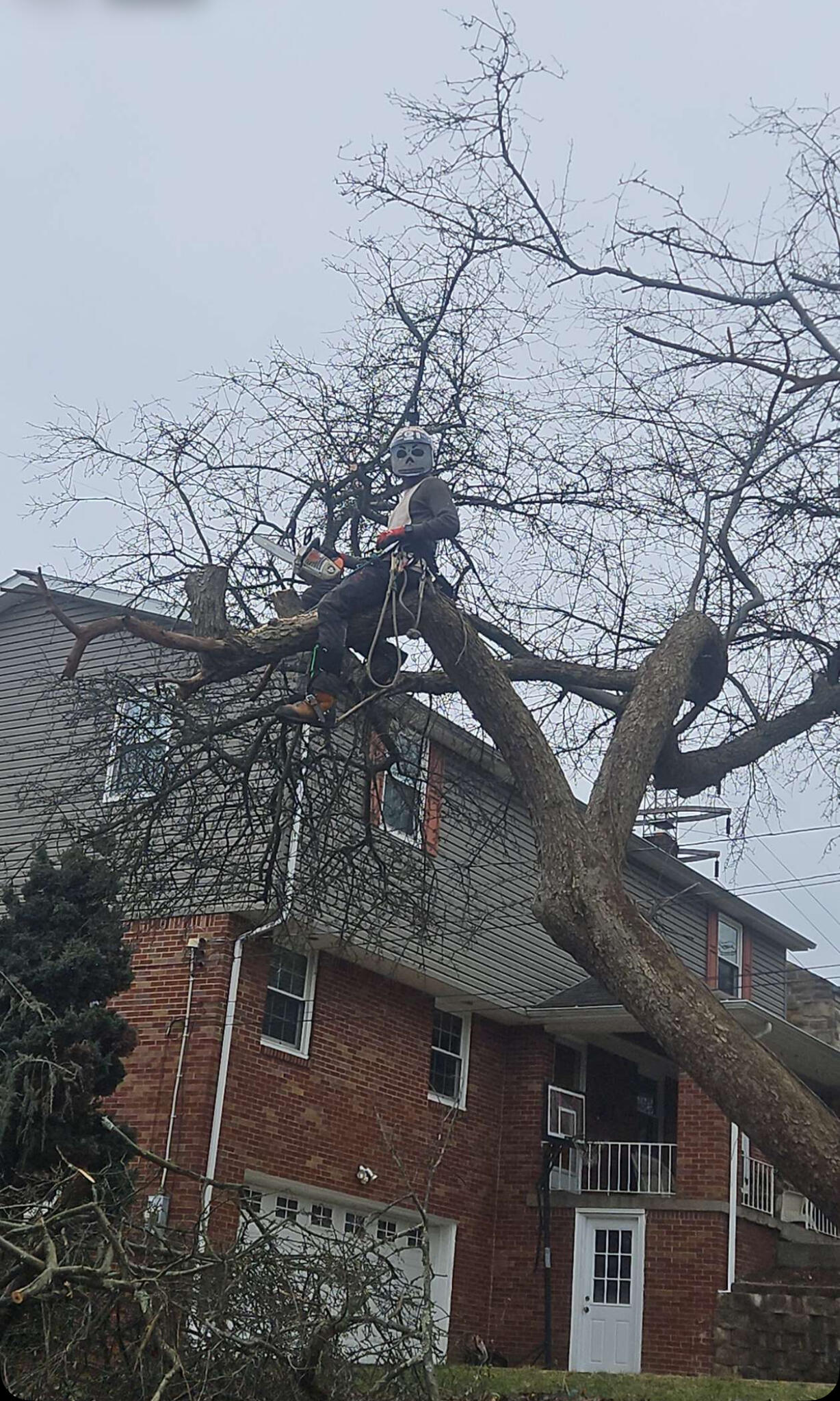 Photo credit: nextdoor