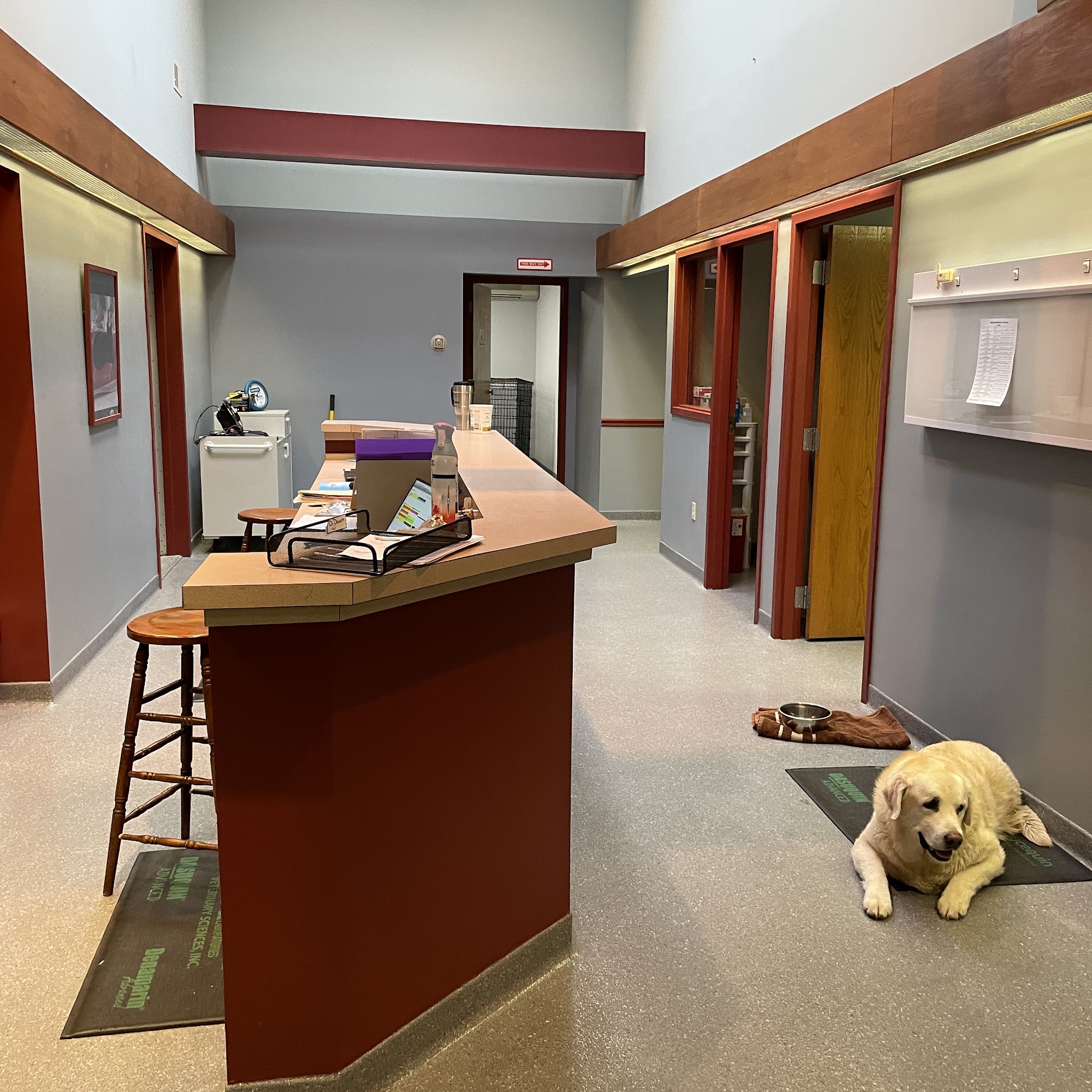 Lehighton Animal Hospital Lehighton