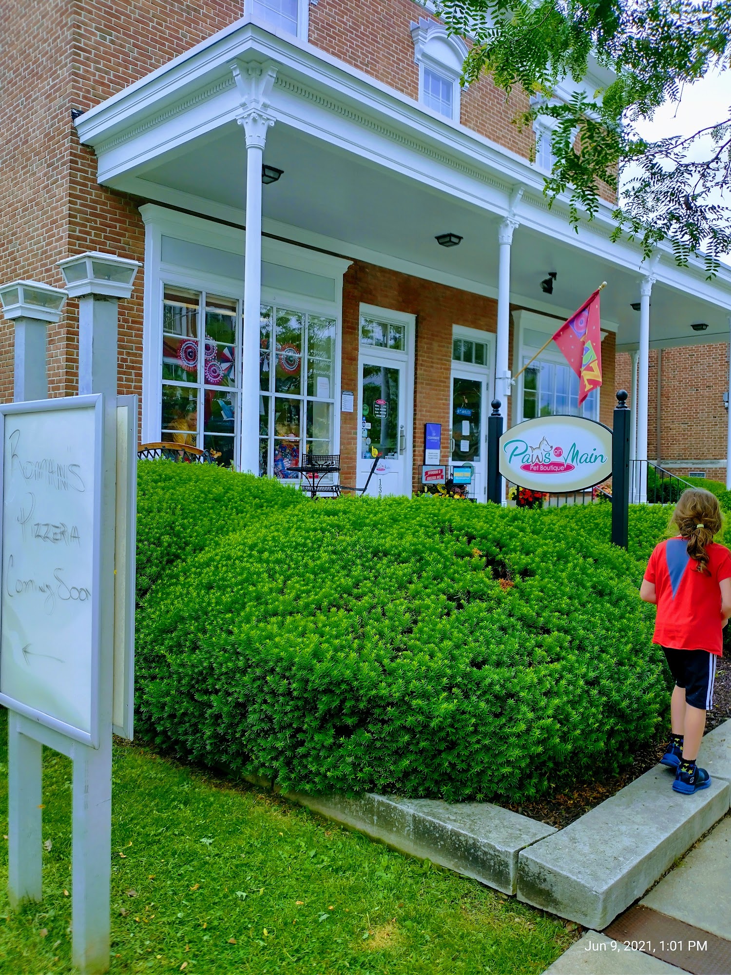 Ligonier Paws on Main Ligonier