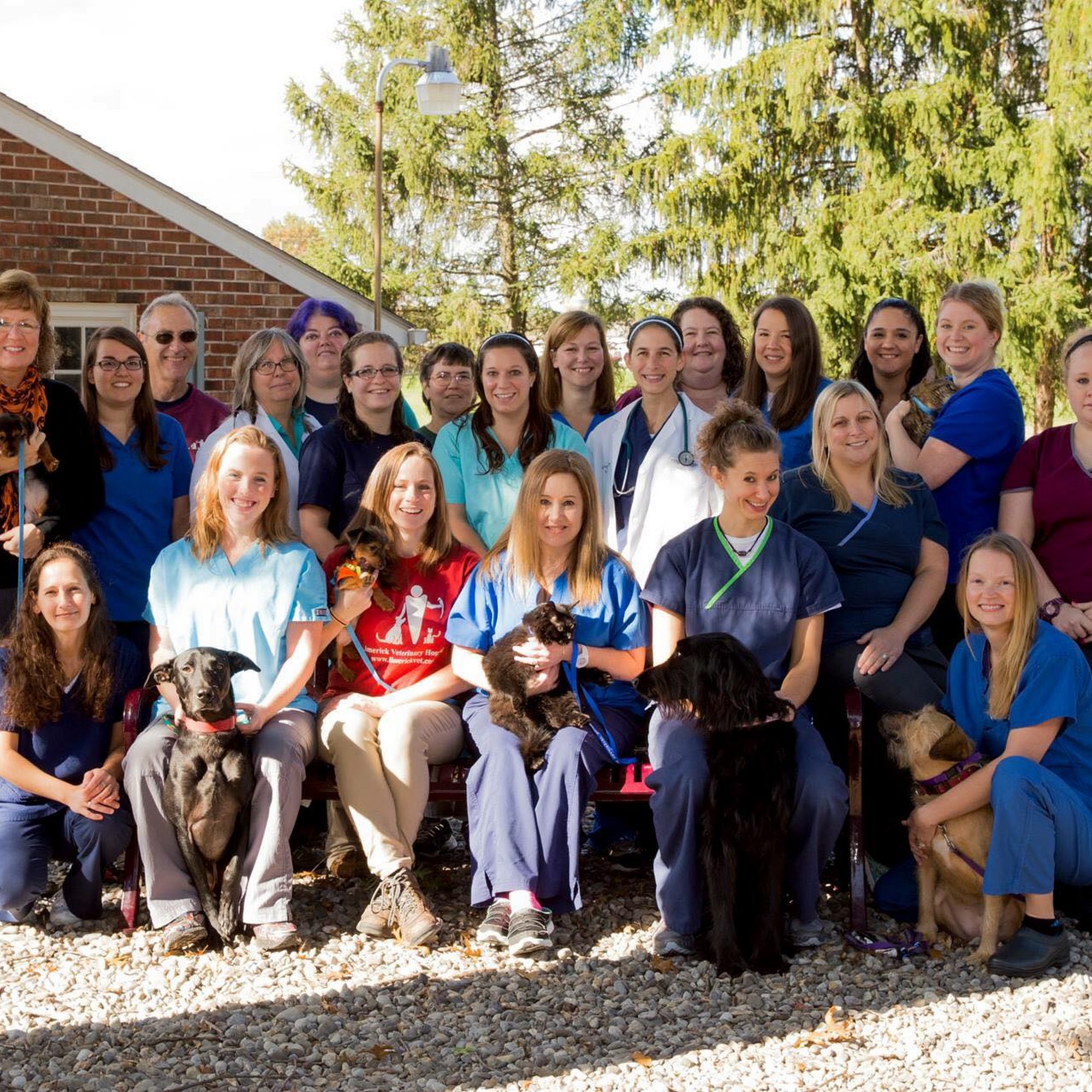 Limerick Veterinary Hospital Limerick