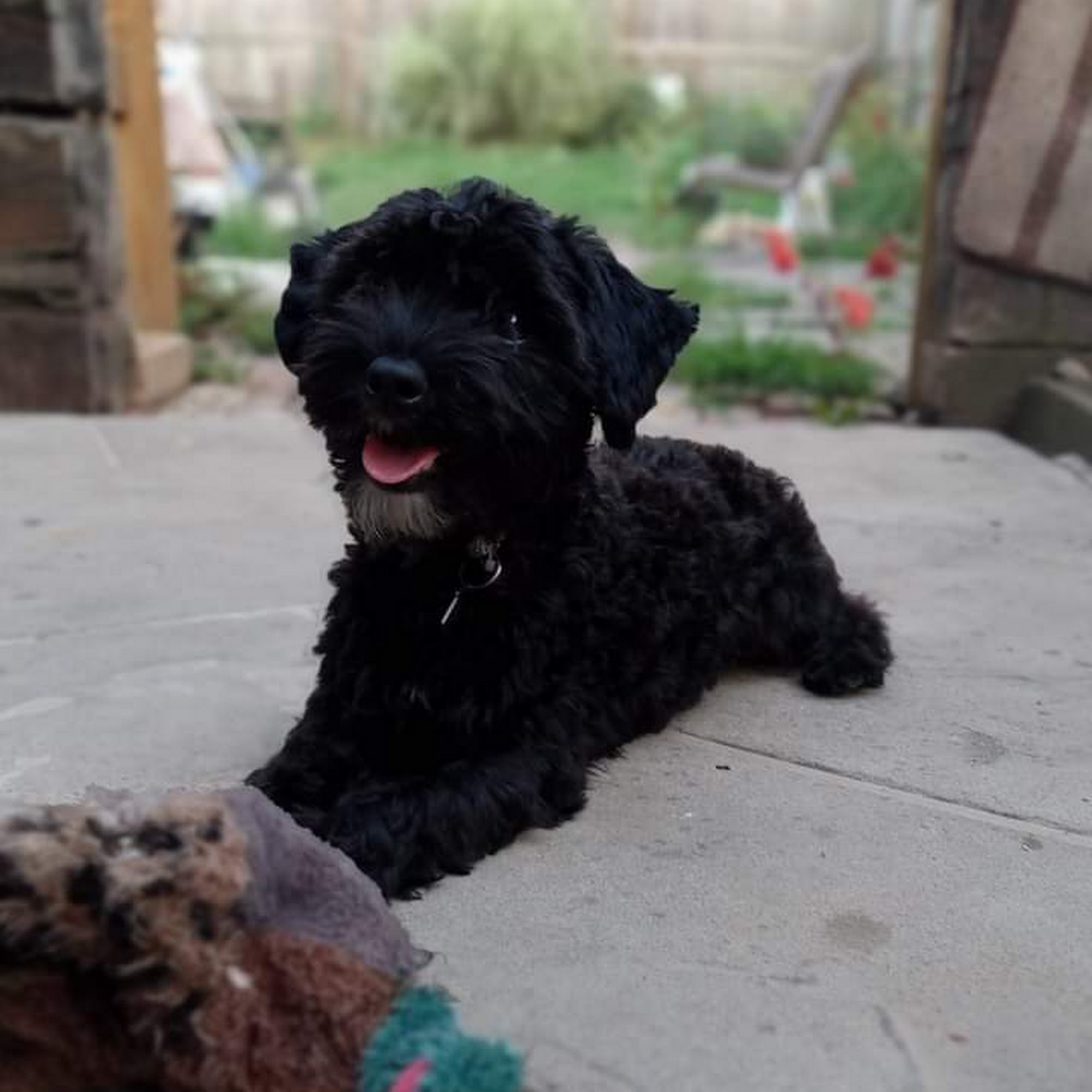 Warwick Run Animal Clinic Lititz