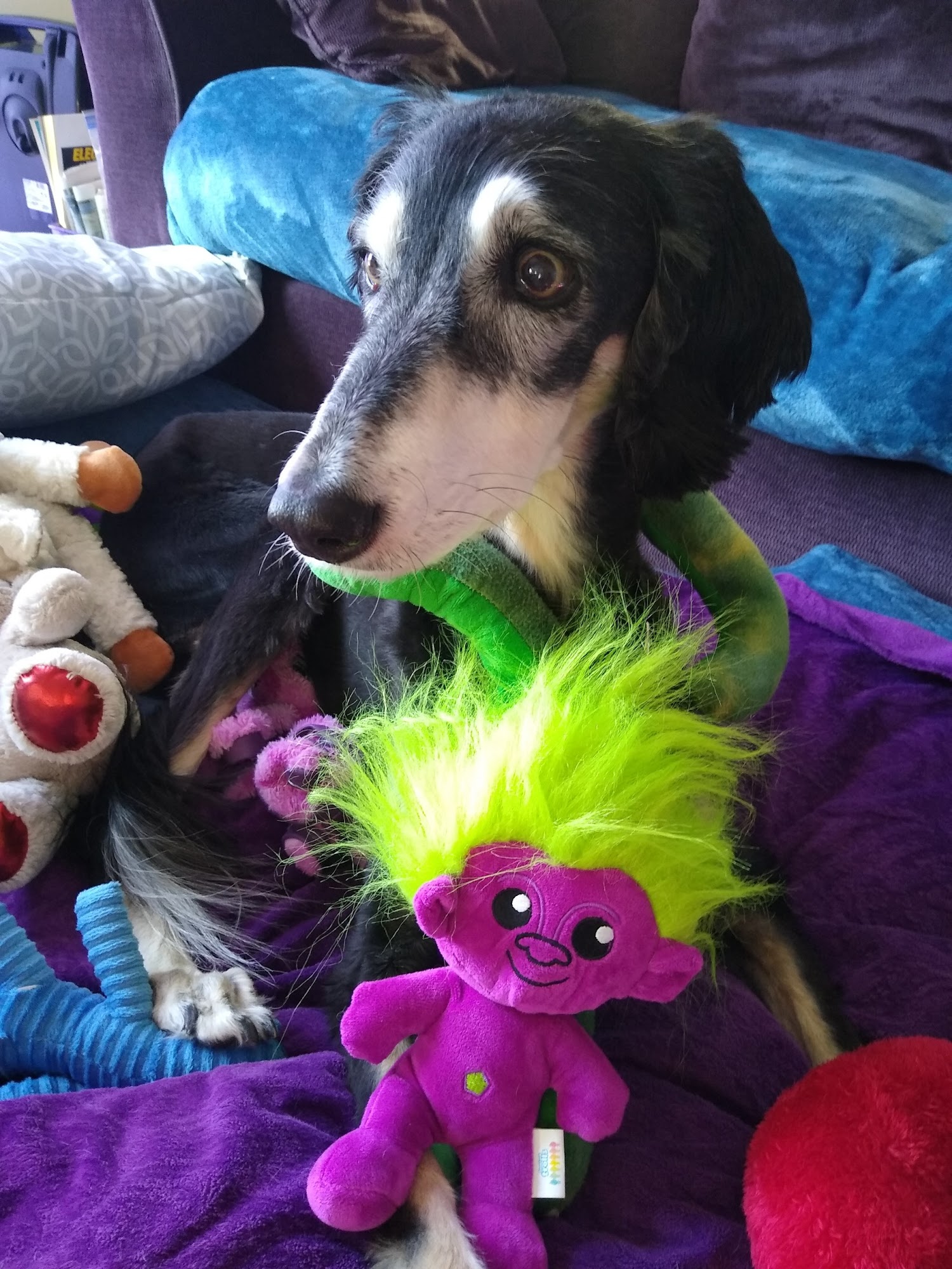 Bubbles and Biscuits LLC Lititz