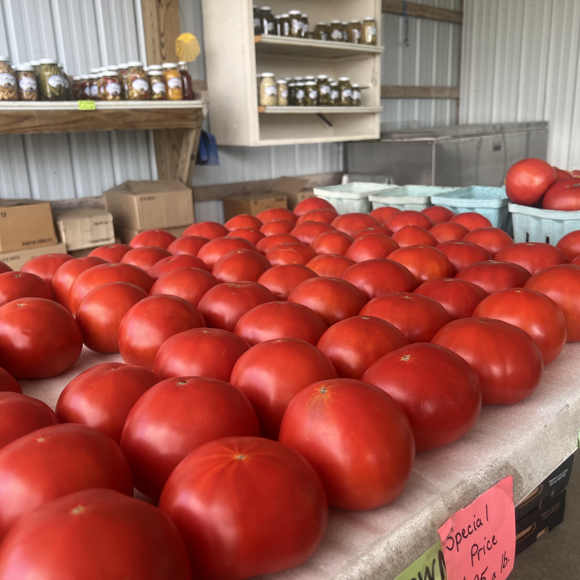 Sunnyside Produce Loganton