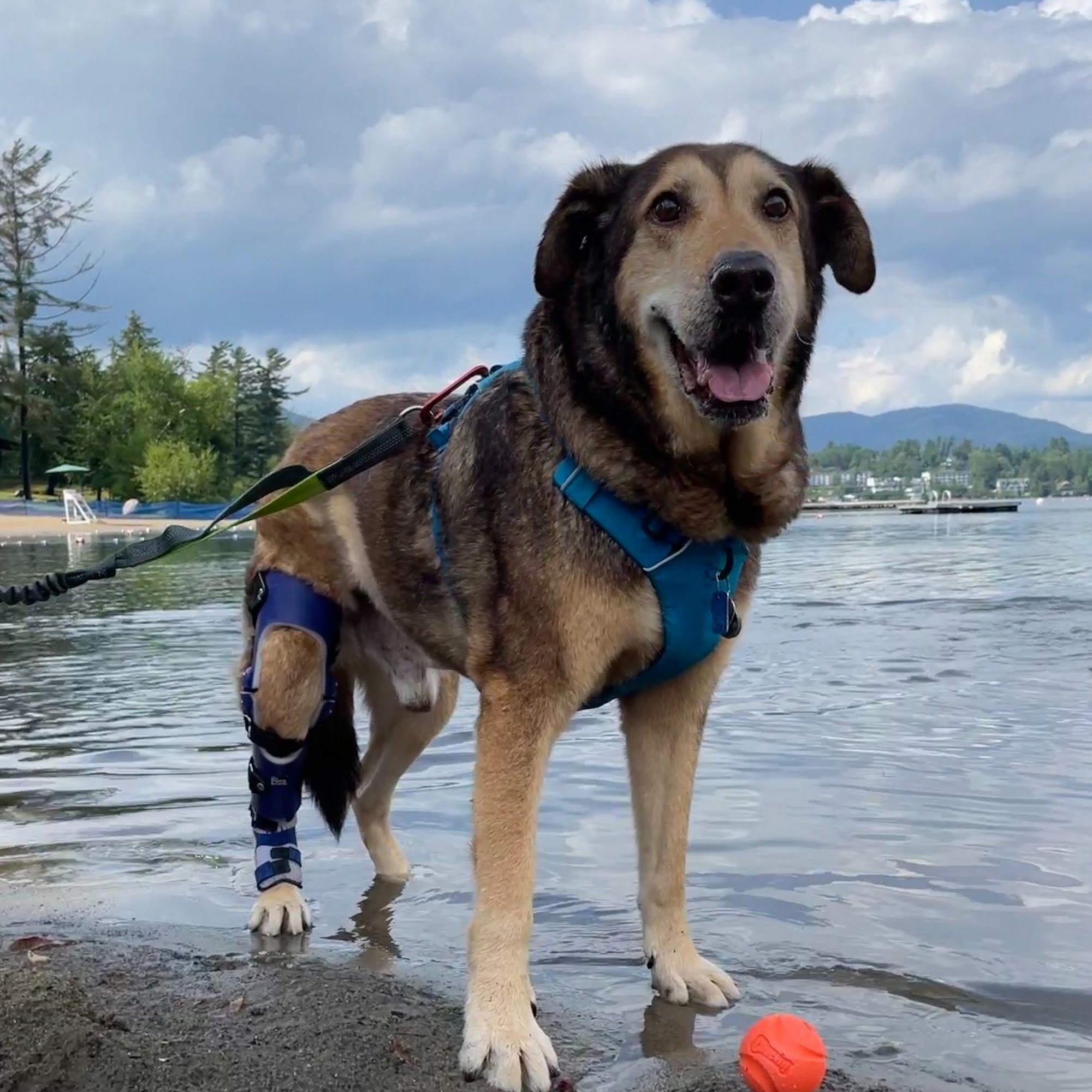 Affinity Veterinary Center of Malvern Malvern