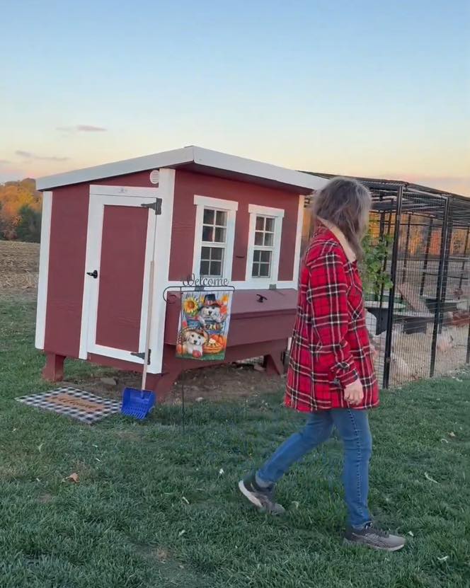 OverEZ Chicken Coop Manheim
