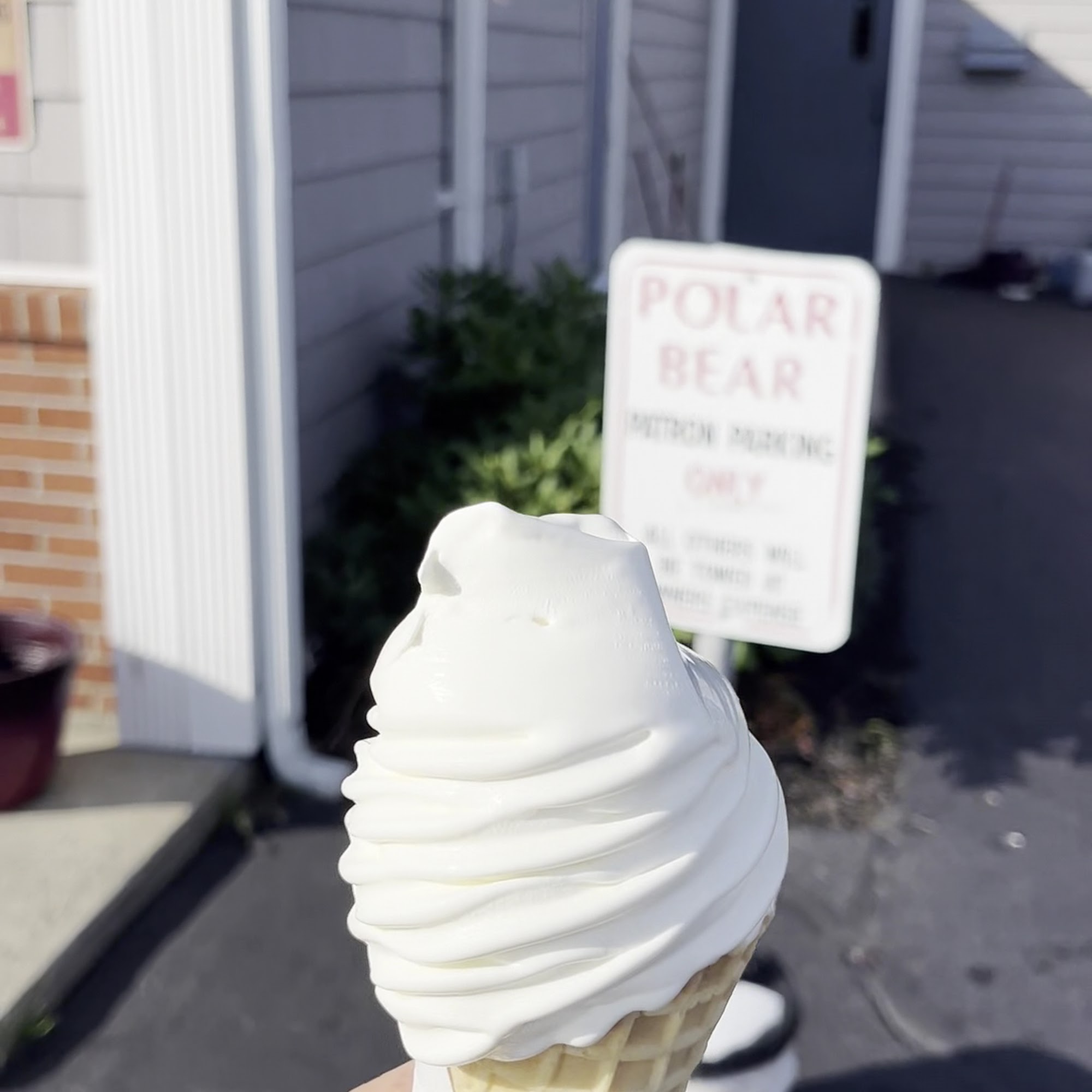 Polar Bear Ice Cream Matamoras