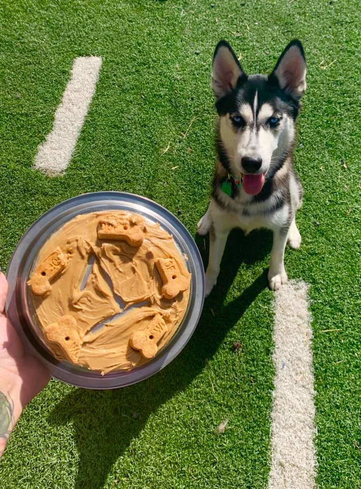 Friendly Paws Pet Resort, LLC McKees Rocks