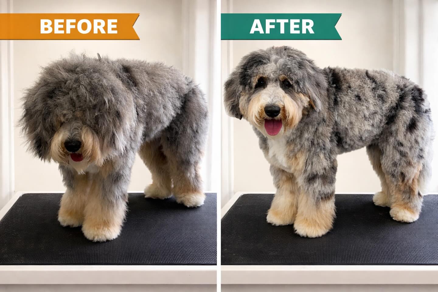 PawLeashed Pet Salon McMurray