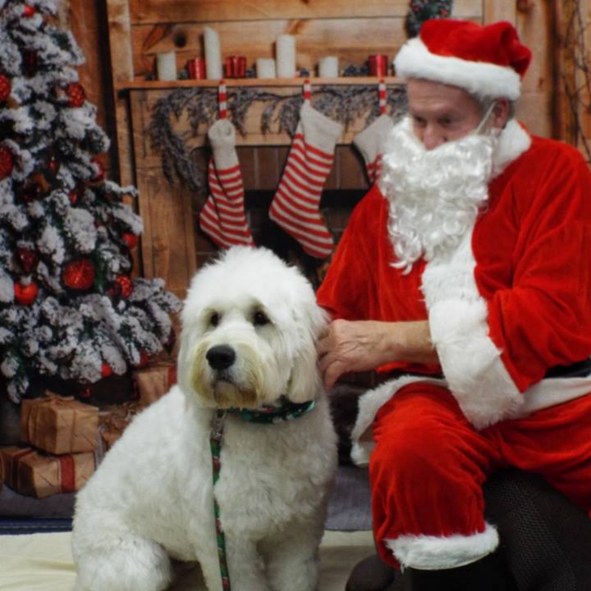 Animal Hospital of Meadville Meadville