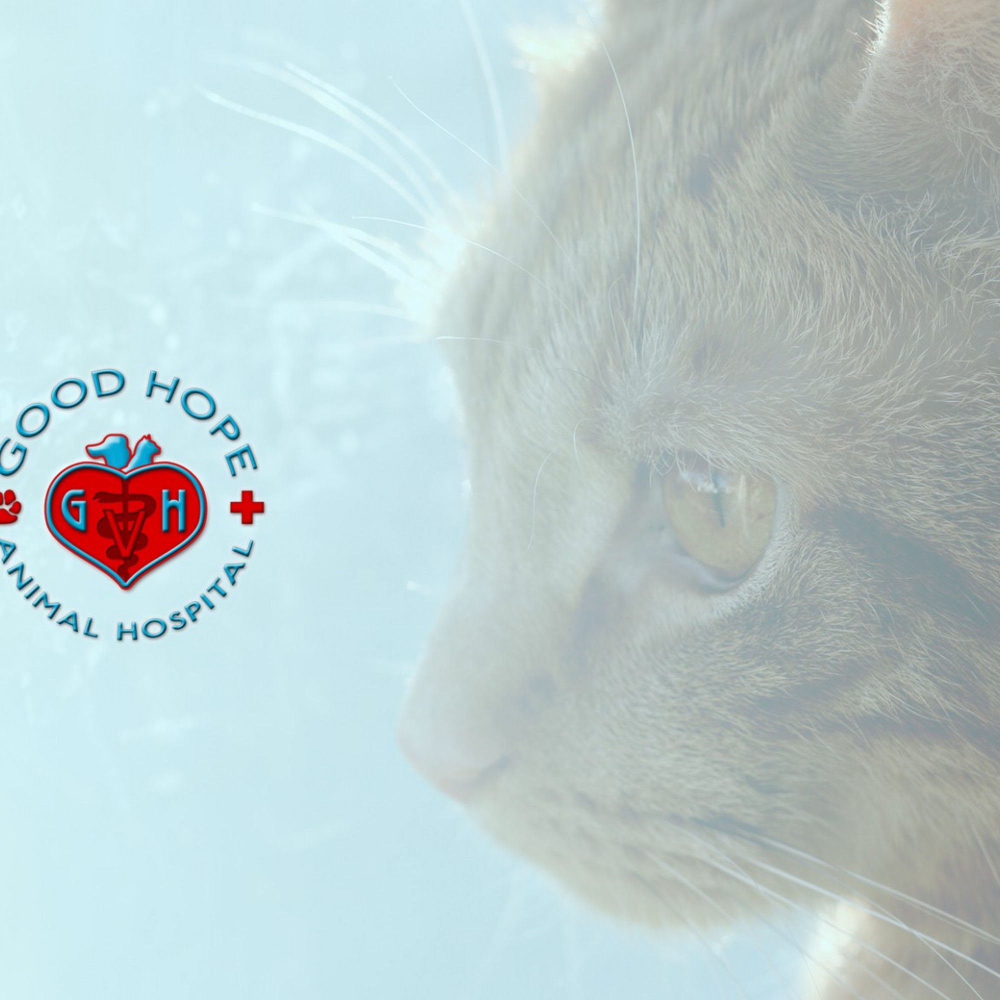 Good Hope Animal Hospital Mechanicsburg