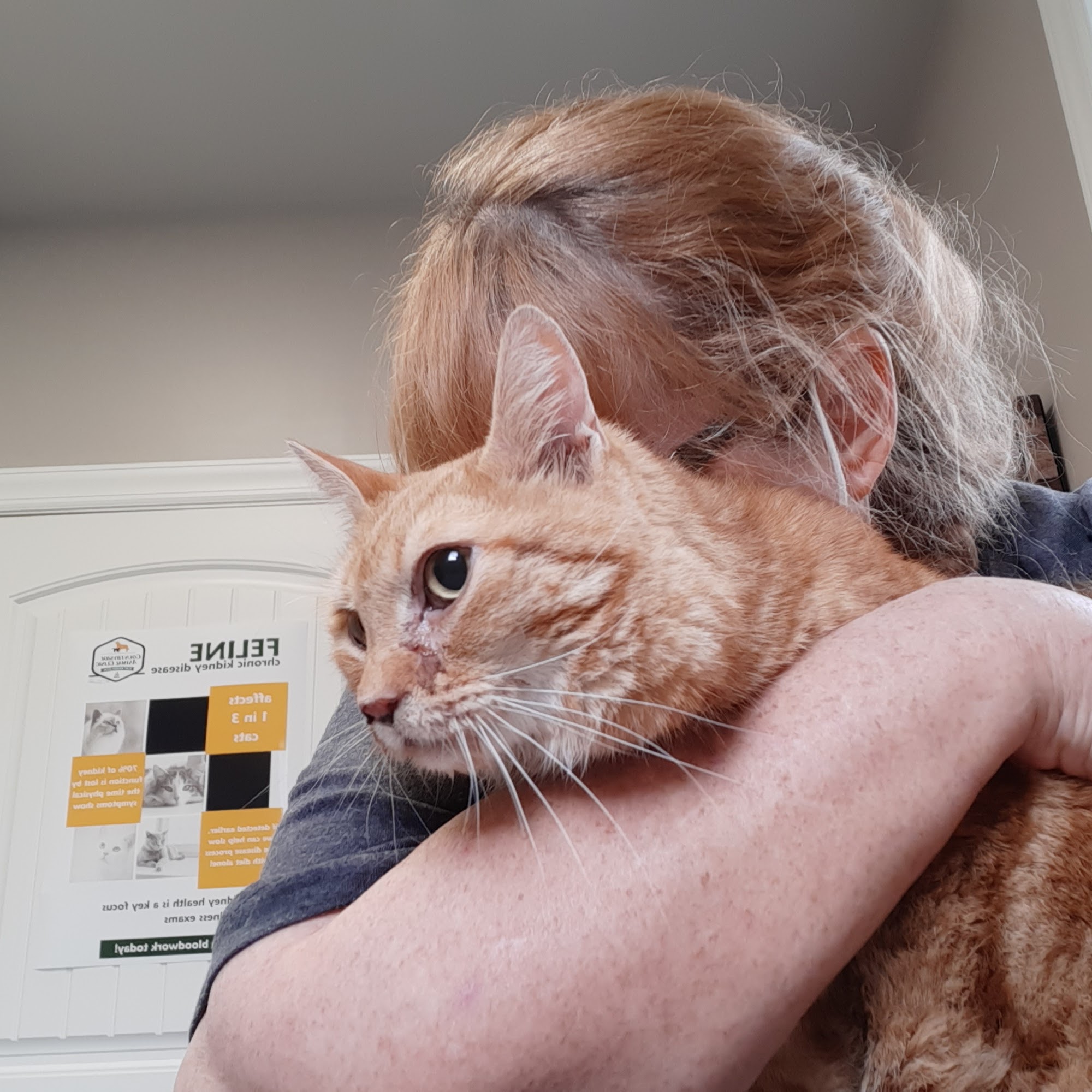 Countryside Animal Clinic - Kurt Krusen DVM Mechanicsburg