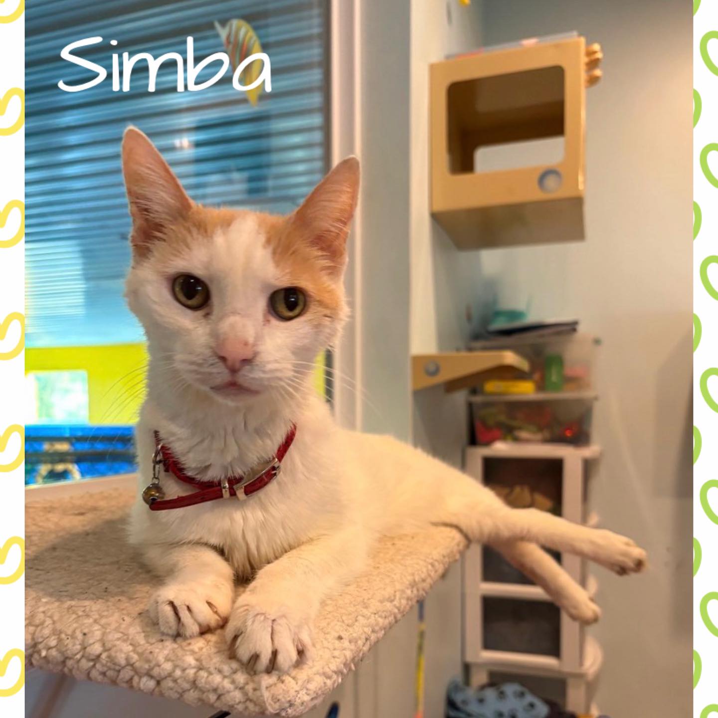 Greenlin Pet Resorts Mechanicsburg