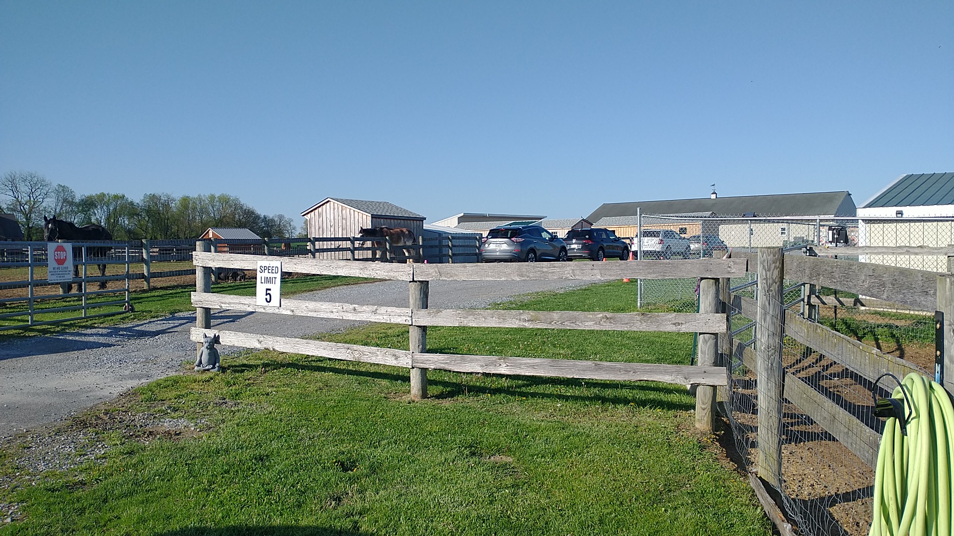 Speranza Animal Rescue Mechanicsburg