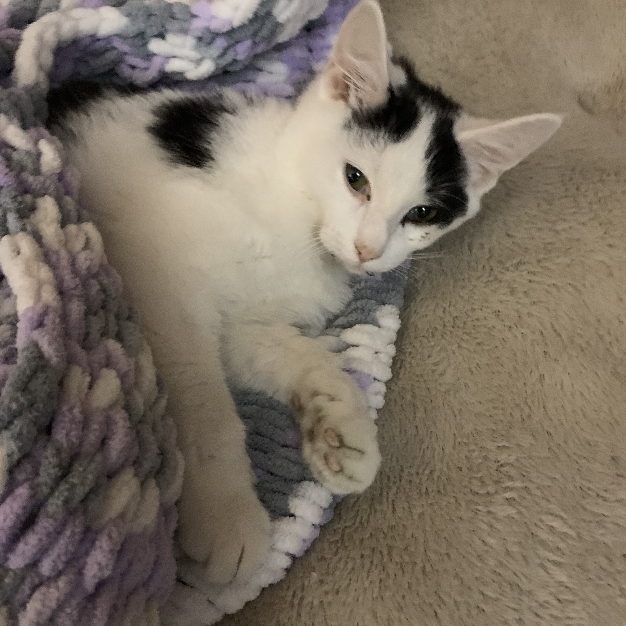 Fishing Creek Veterinary Center Mill Hall