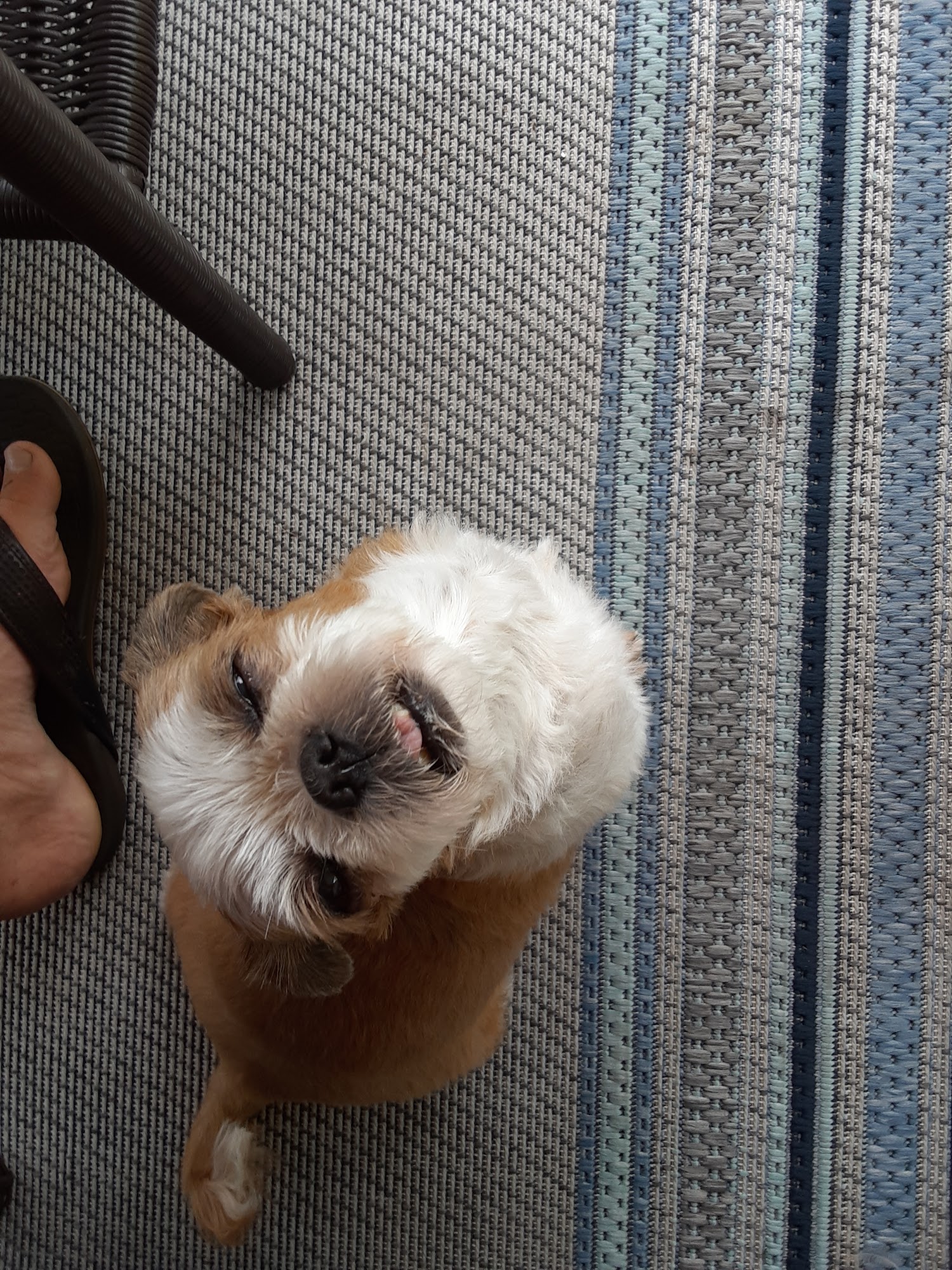 Animal Medical Center of Nittany Valley Mill Hall