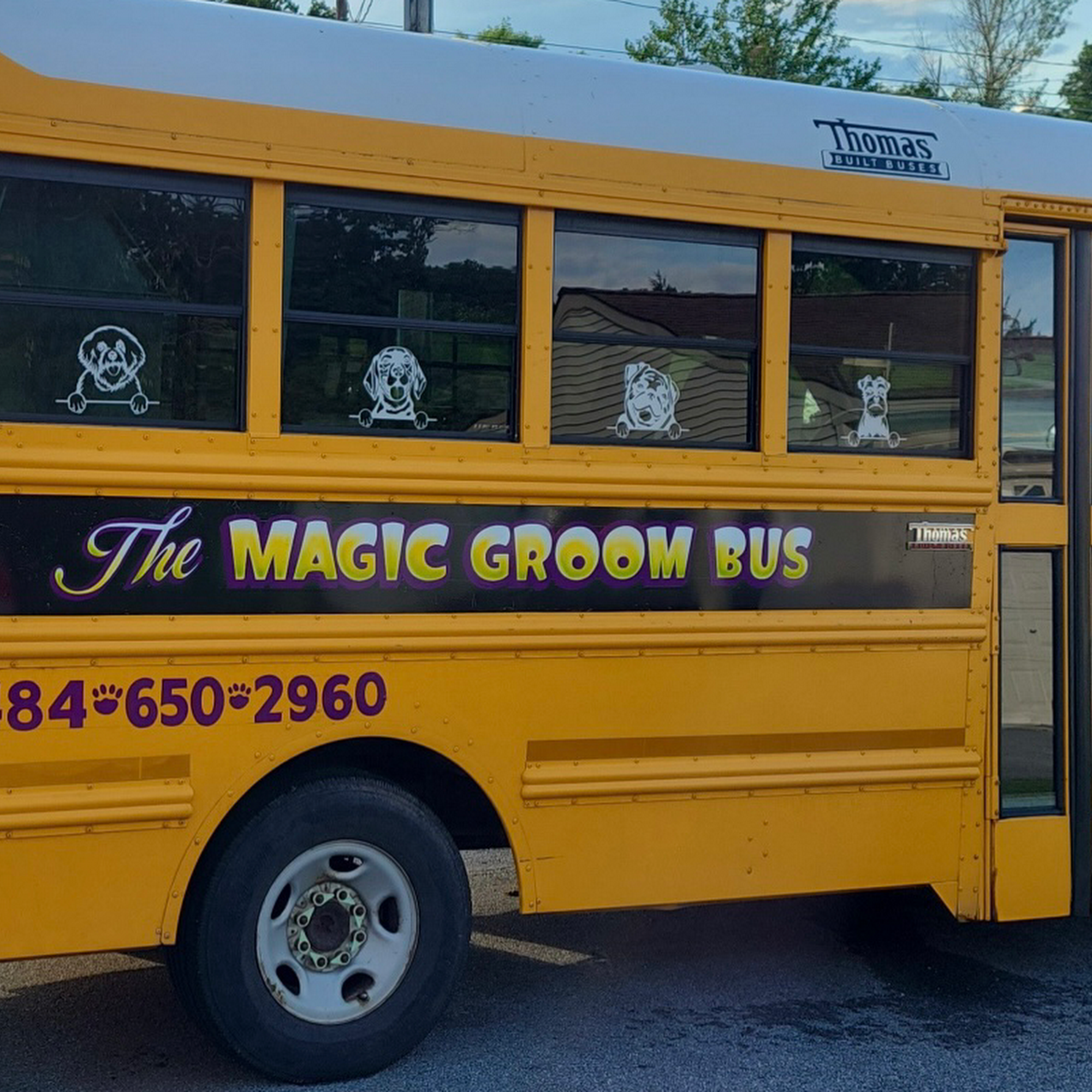 The Magic Groom Bus Mohnton