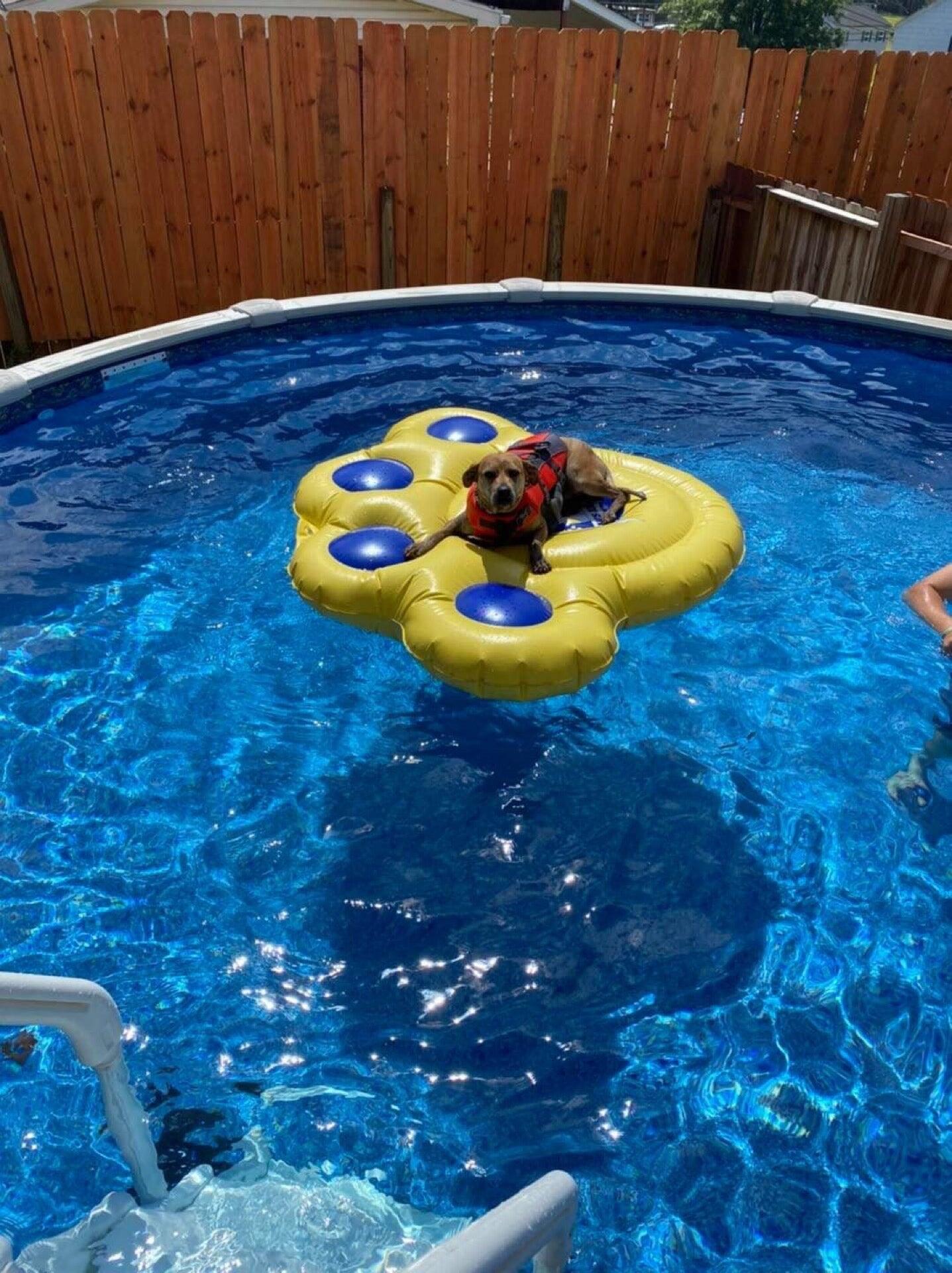 Photo credit: nextdoor