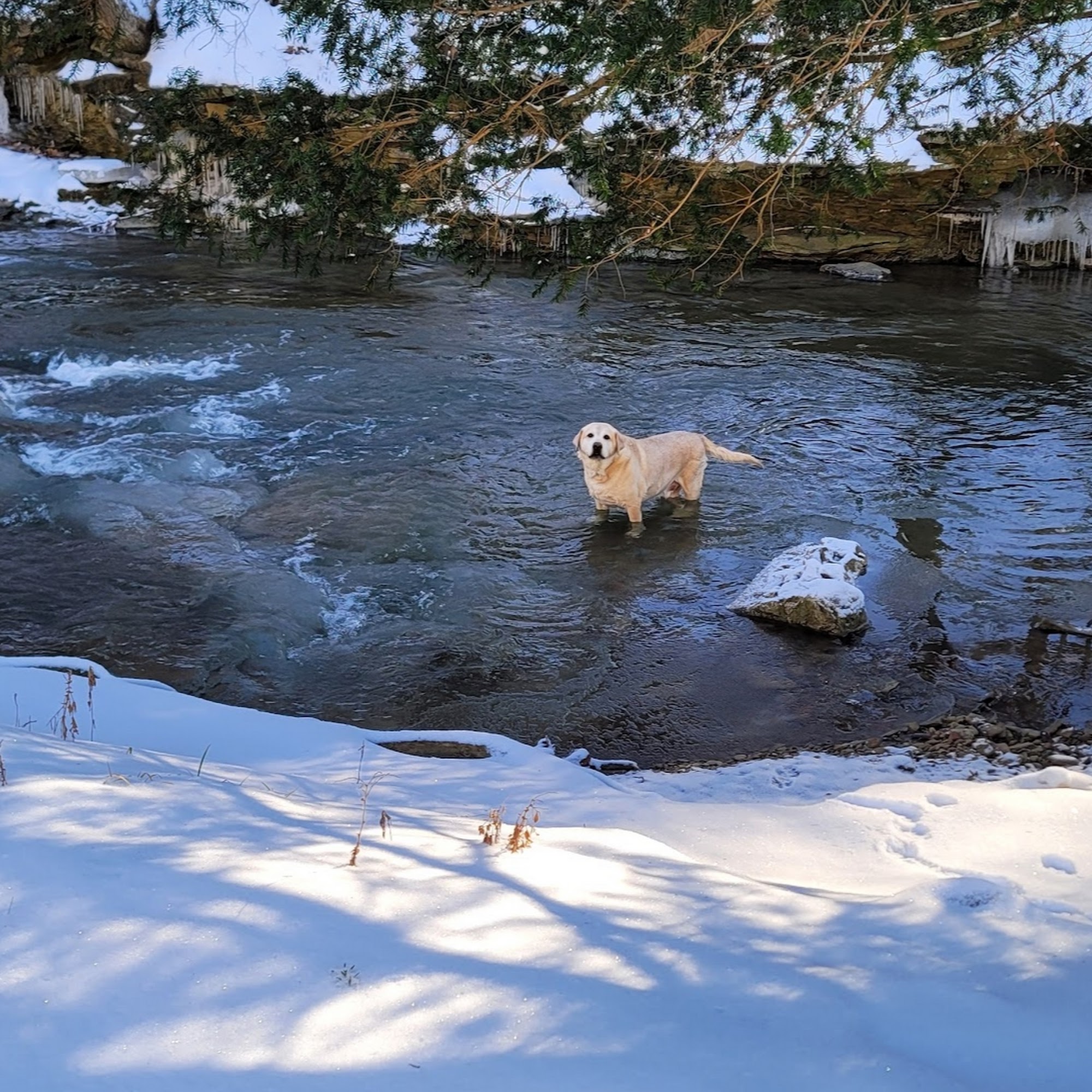 Moon Veterinary Hospital Moon
