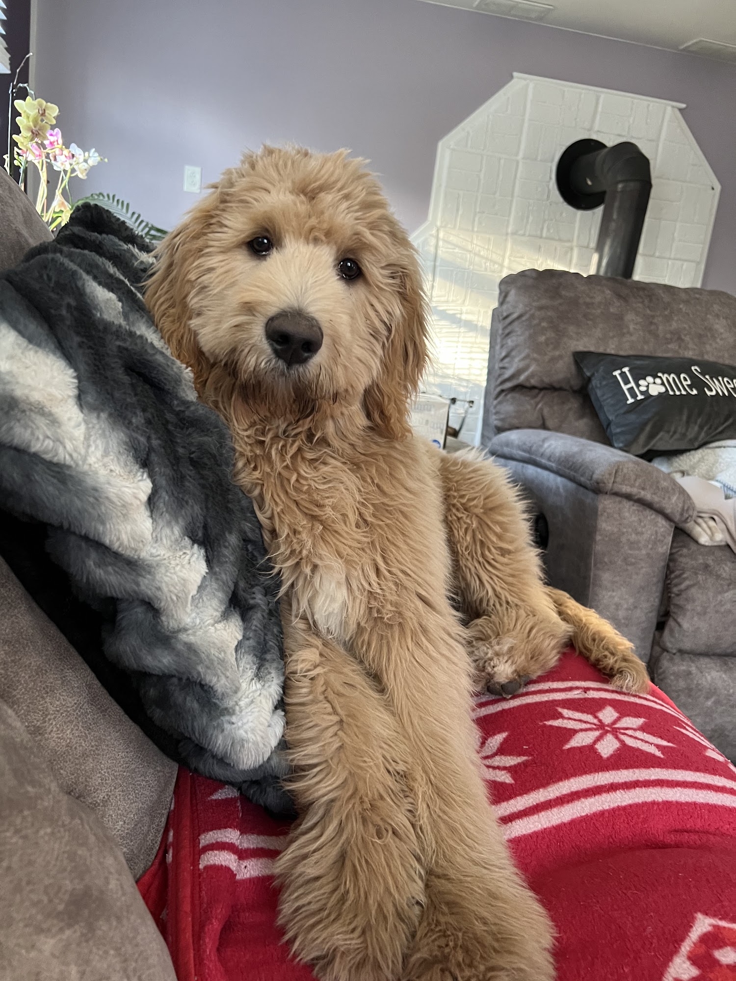 Moon Veterinary Hospital Moon