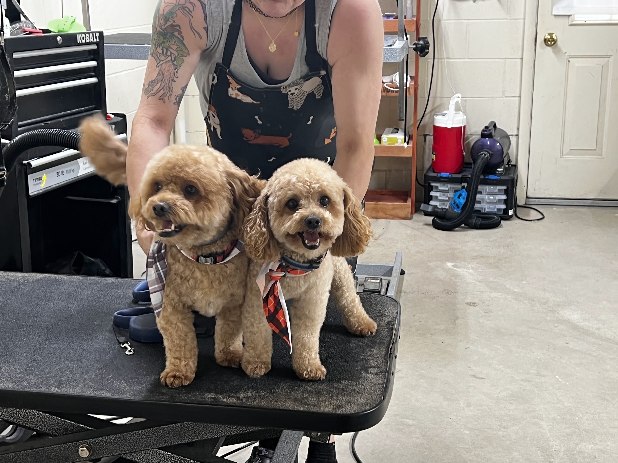 Kutz ‘n Bathz Moon