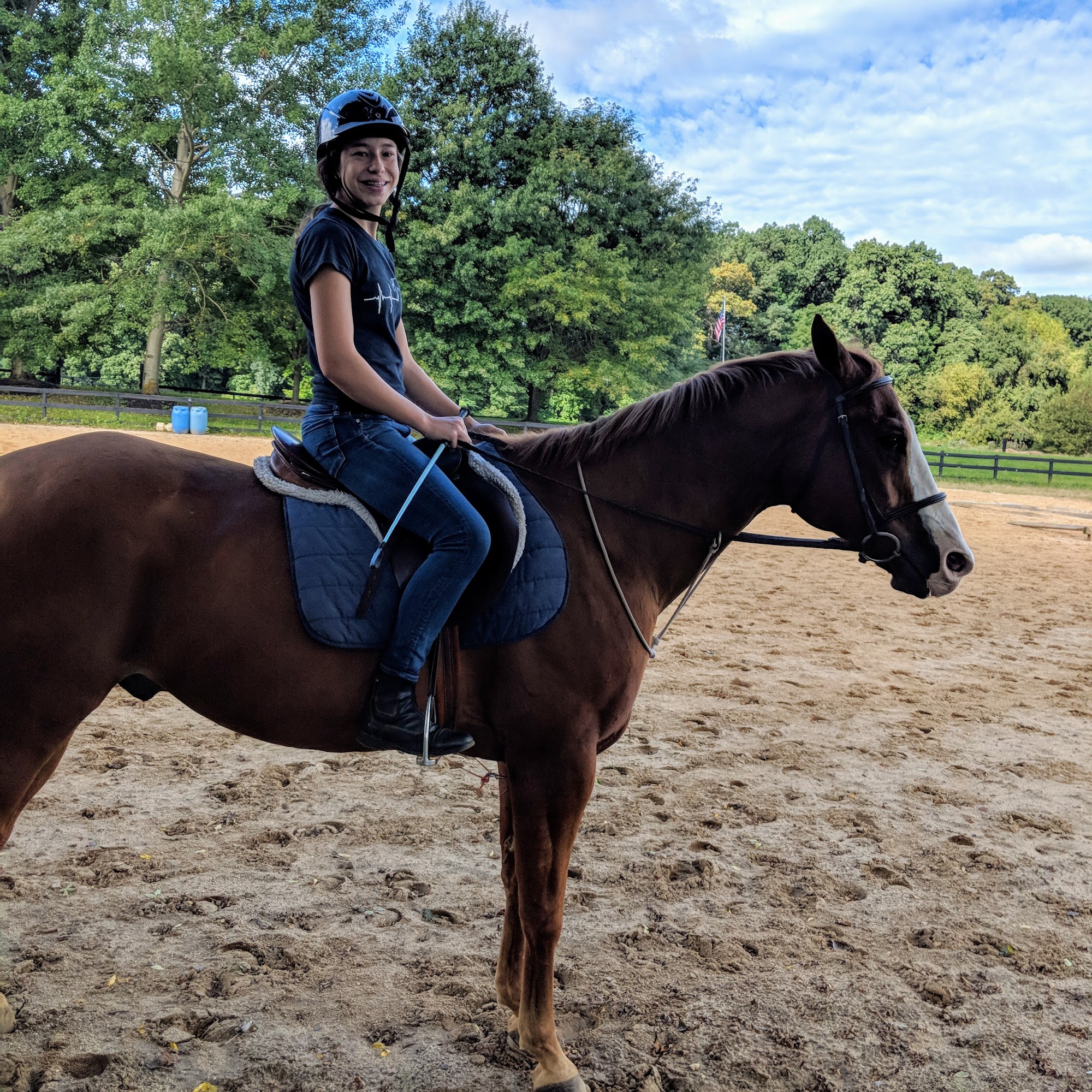 Mt Bethel Animal Hospital Mount Bethel