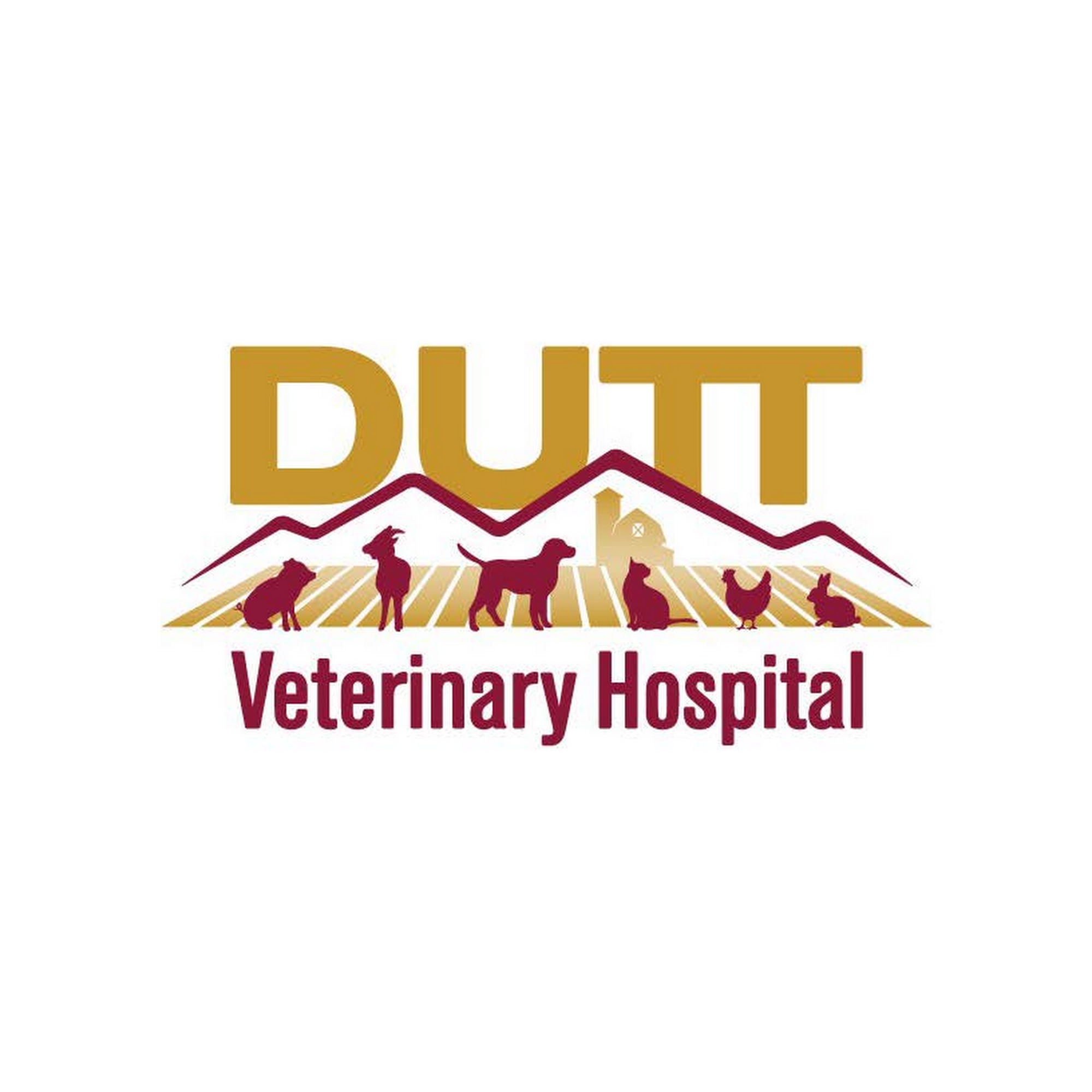 Dutt Veterinary Hospital Mount Bethel